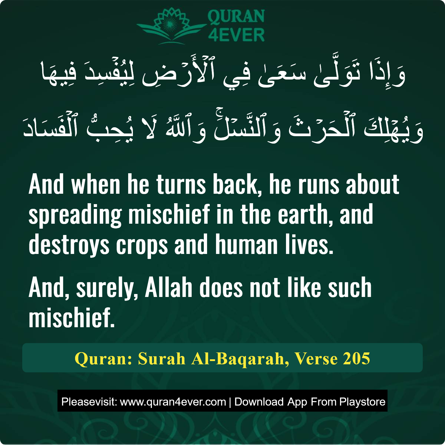 Surah 2, Ayah 205 - Quran Image