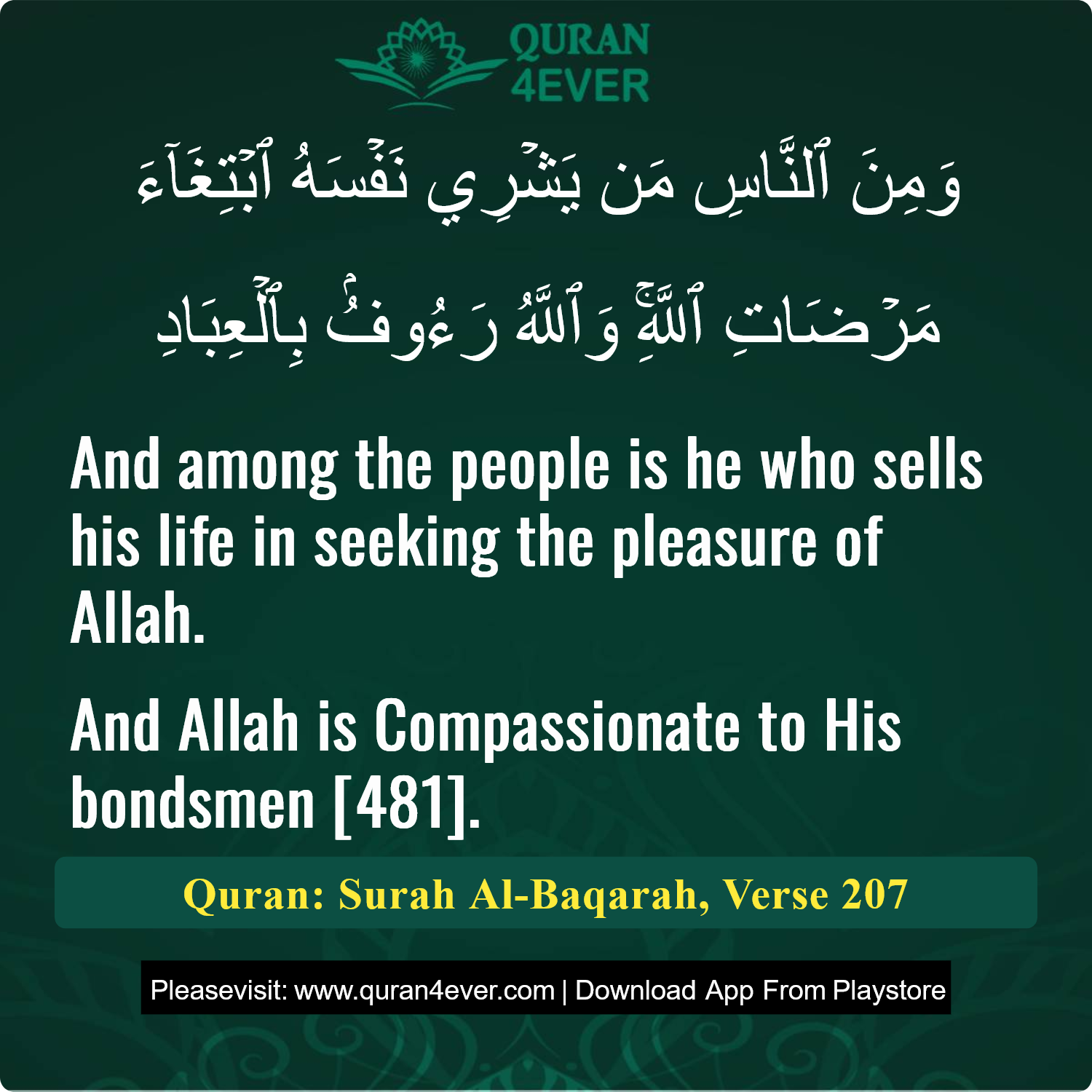 Surah 2, Ayah 207 - Quran Image