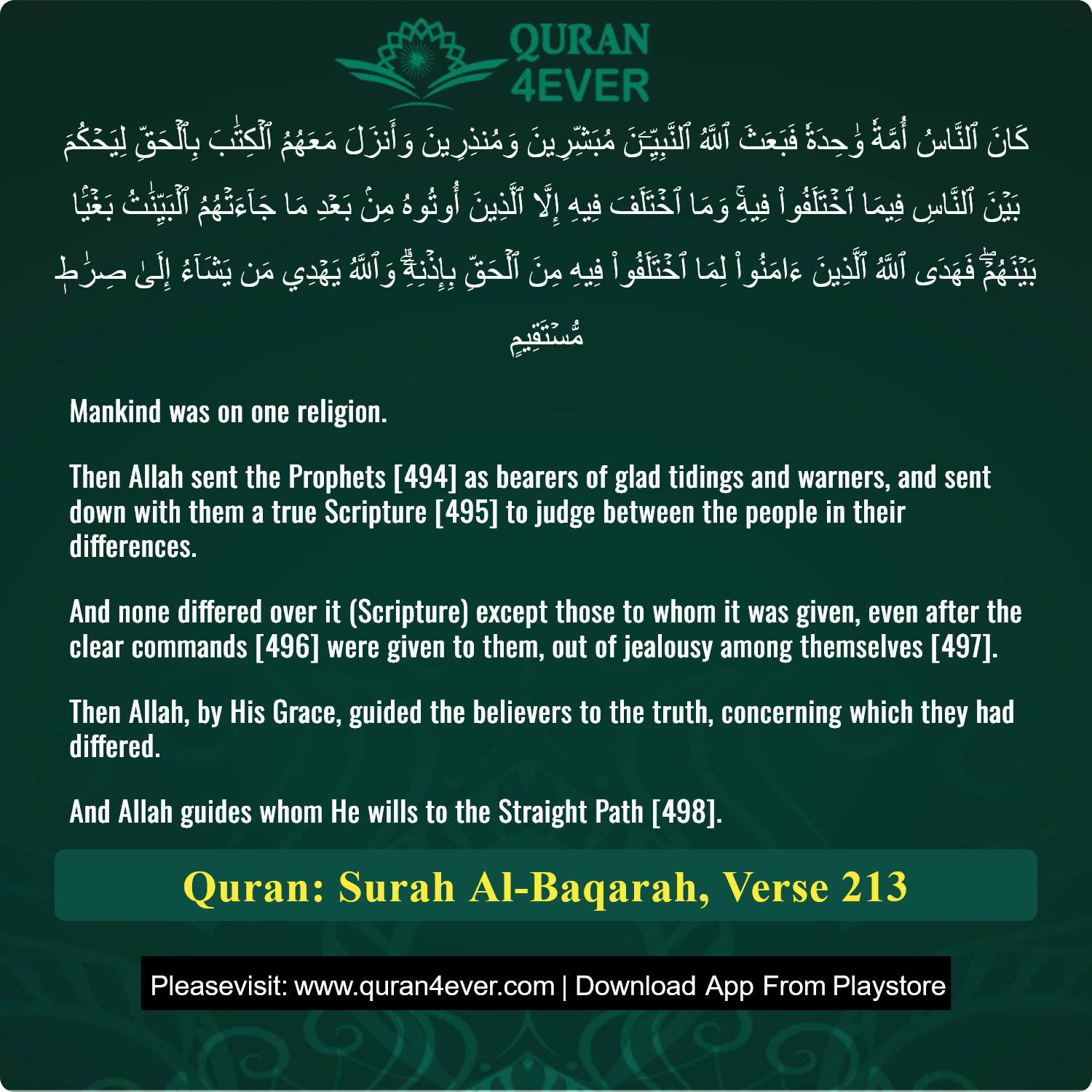 Surah 2, Ayah 213 - Quran Image