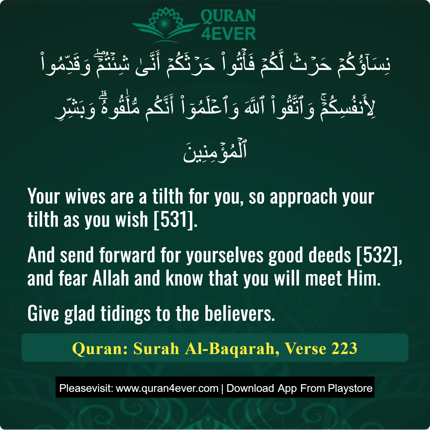 Surah 2, Ayah 223 - Quran Image