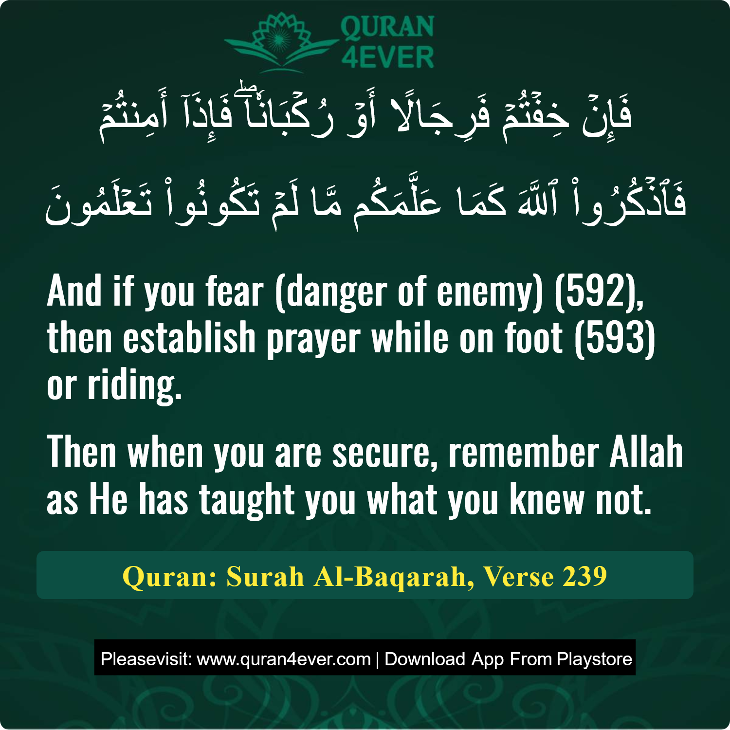 Surah 2, Ayah 239 - Quran Image