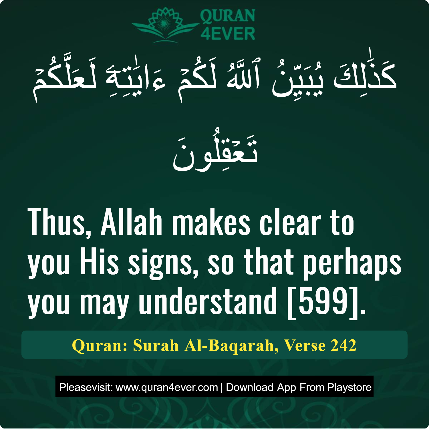 Surah 2, Ayah 242 - Quran Image