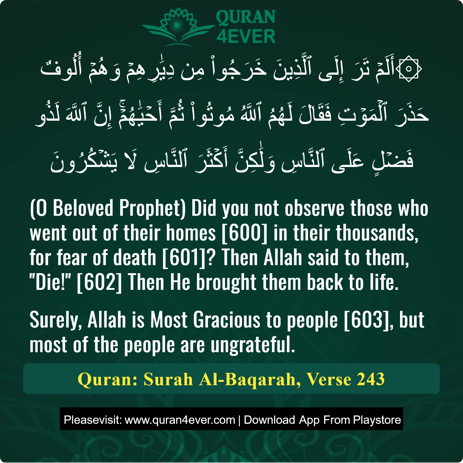 Surah 2, Ayah 243 - Quran Image