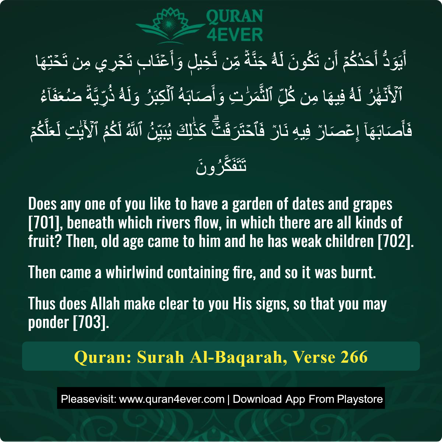 Surah 2, Ayah 266 - Quran Image