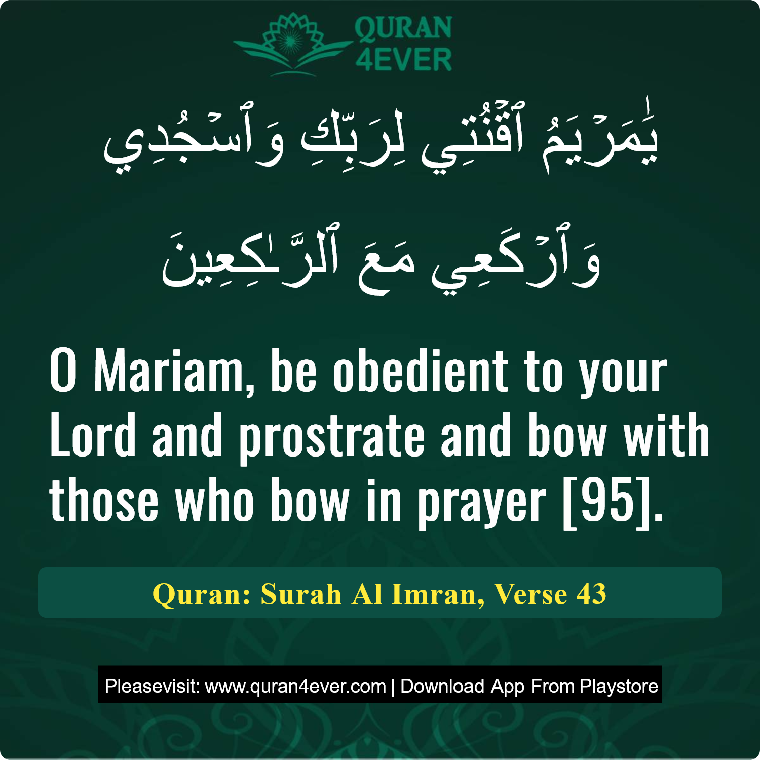 Surah 3, Ayah 43 - Quran Image