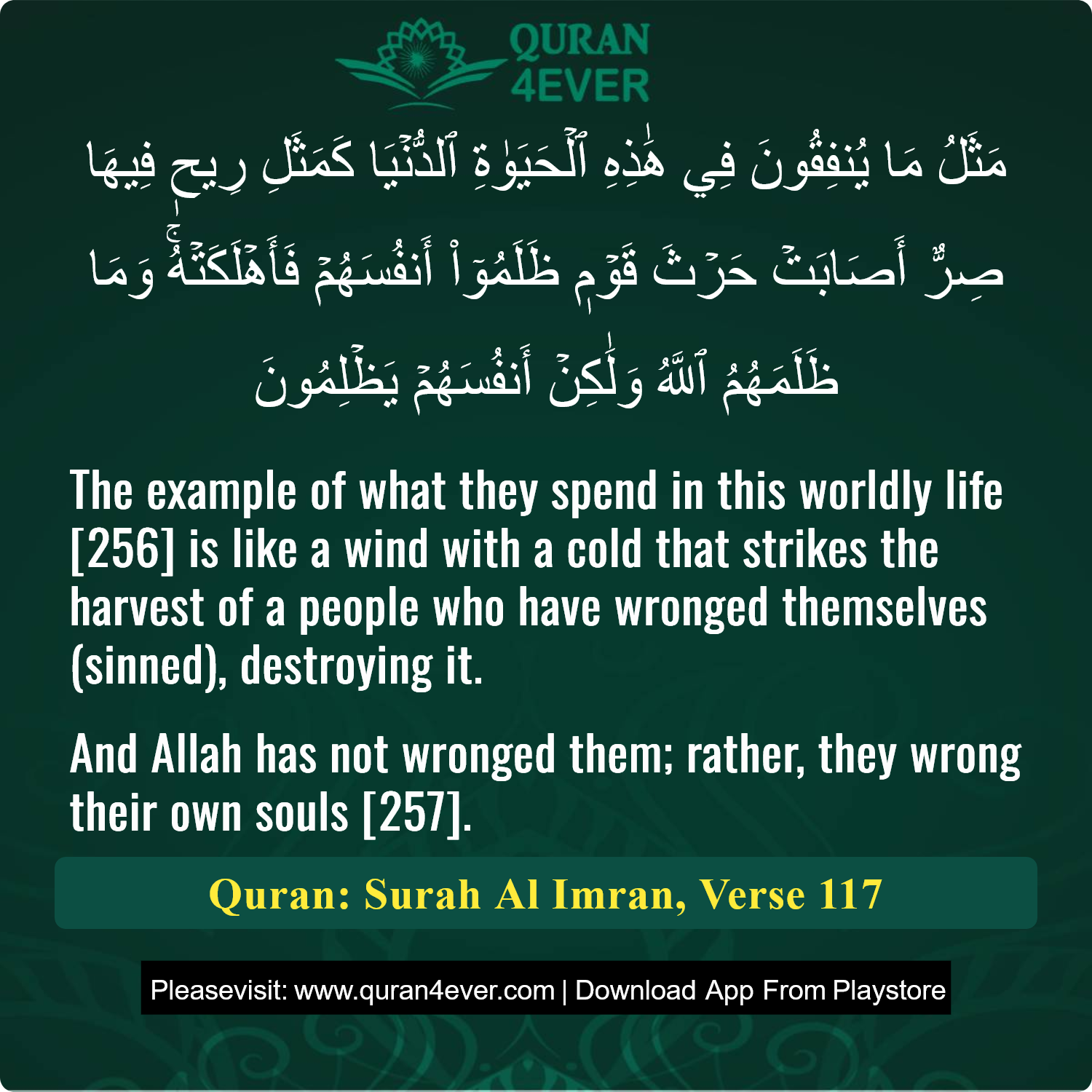 Surah 3, Ayah 117 - Quran Image