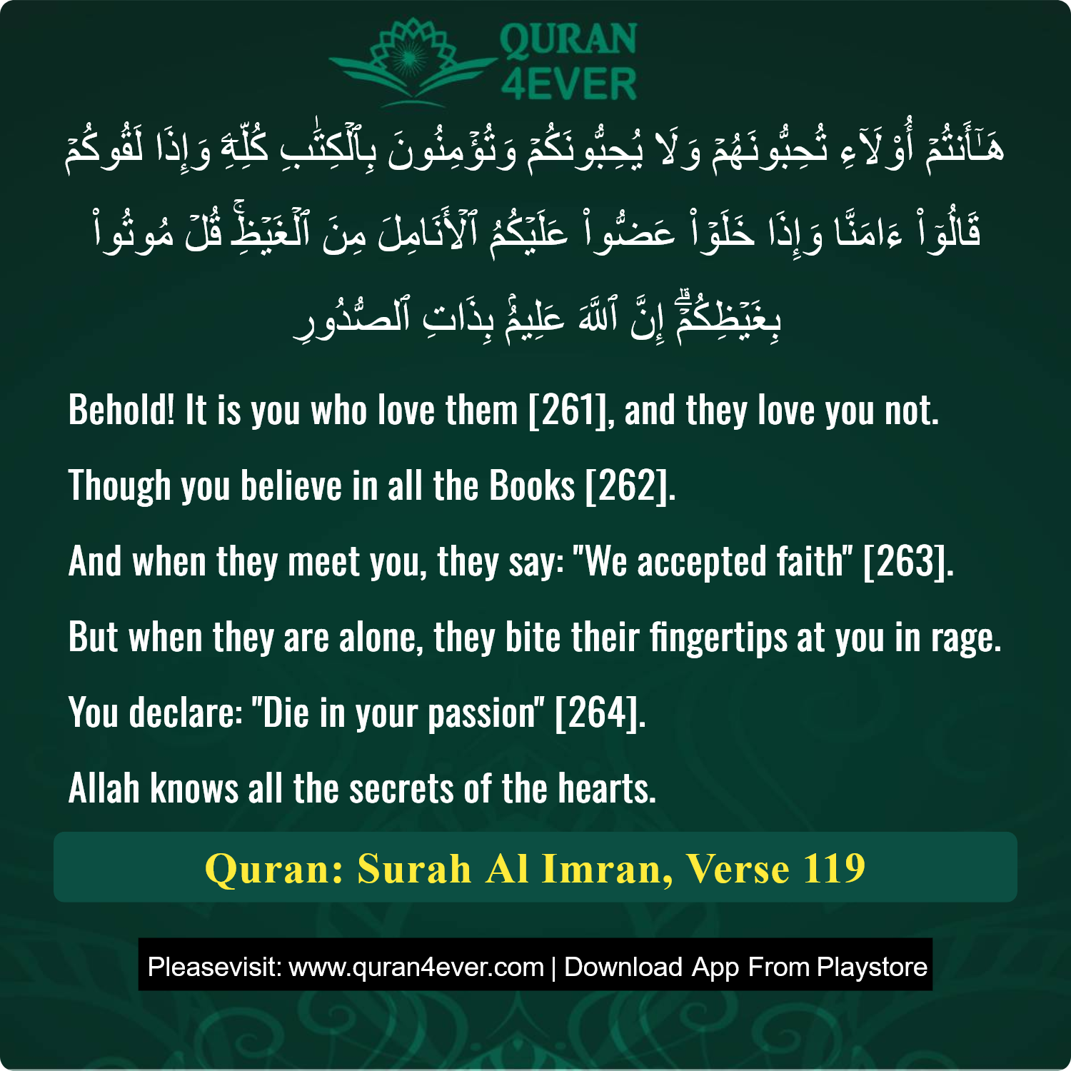 Surah 3, Ayah 119 - Quran Image