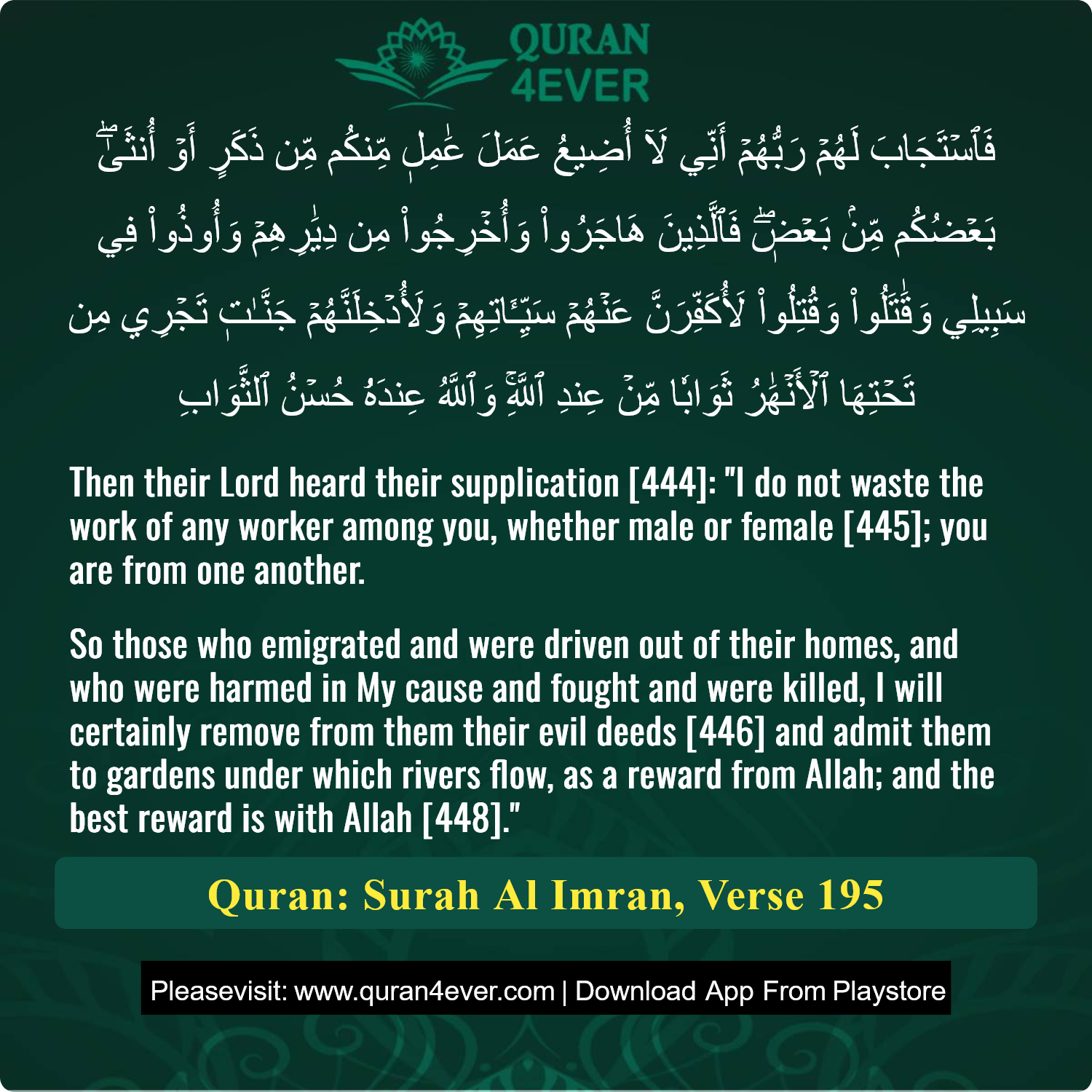 Surah 3, Ayah 195 - Quran Image