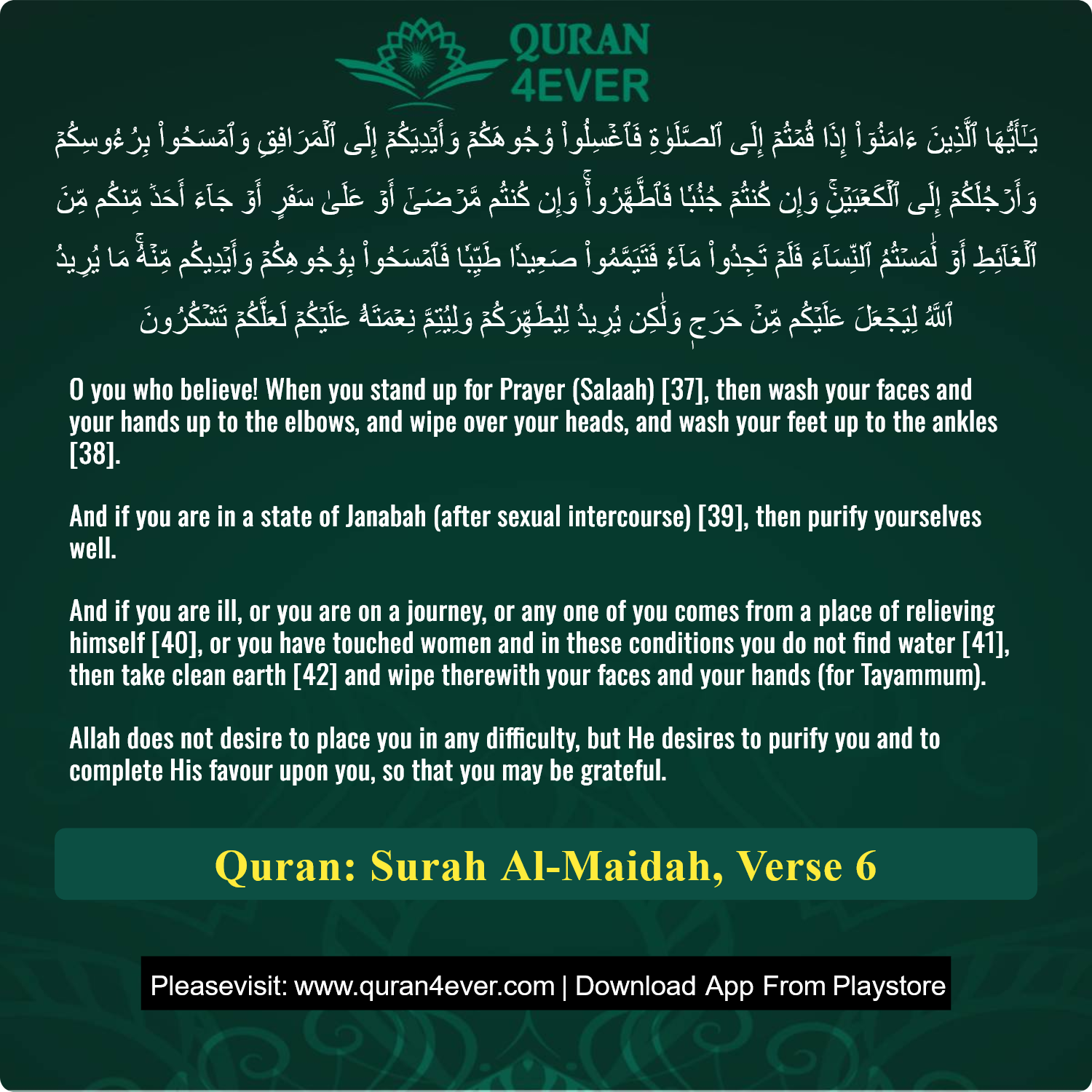 Surah 5, Ayah 6 - Quran Image