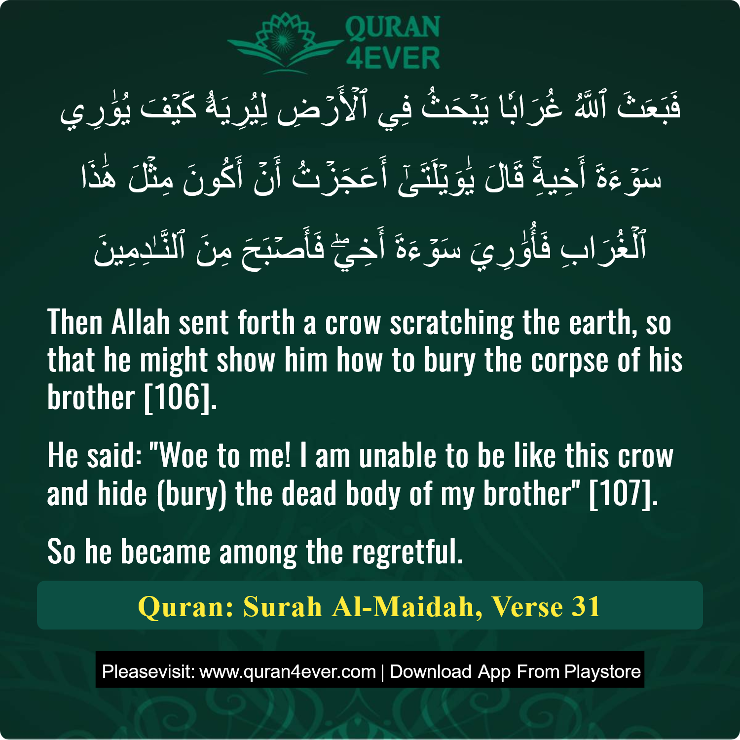 Surah 5, Ayah 31 - Quran Image