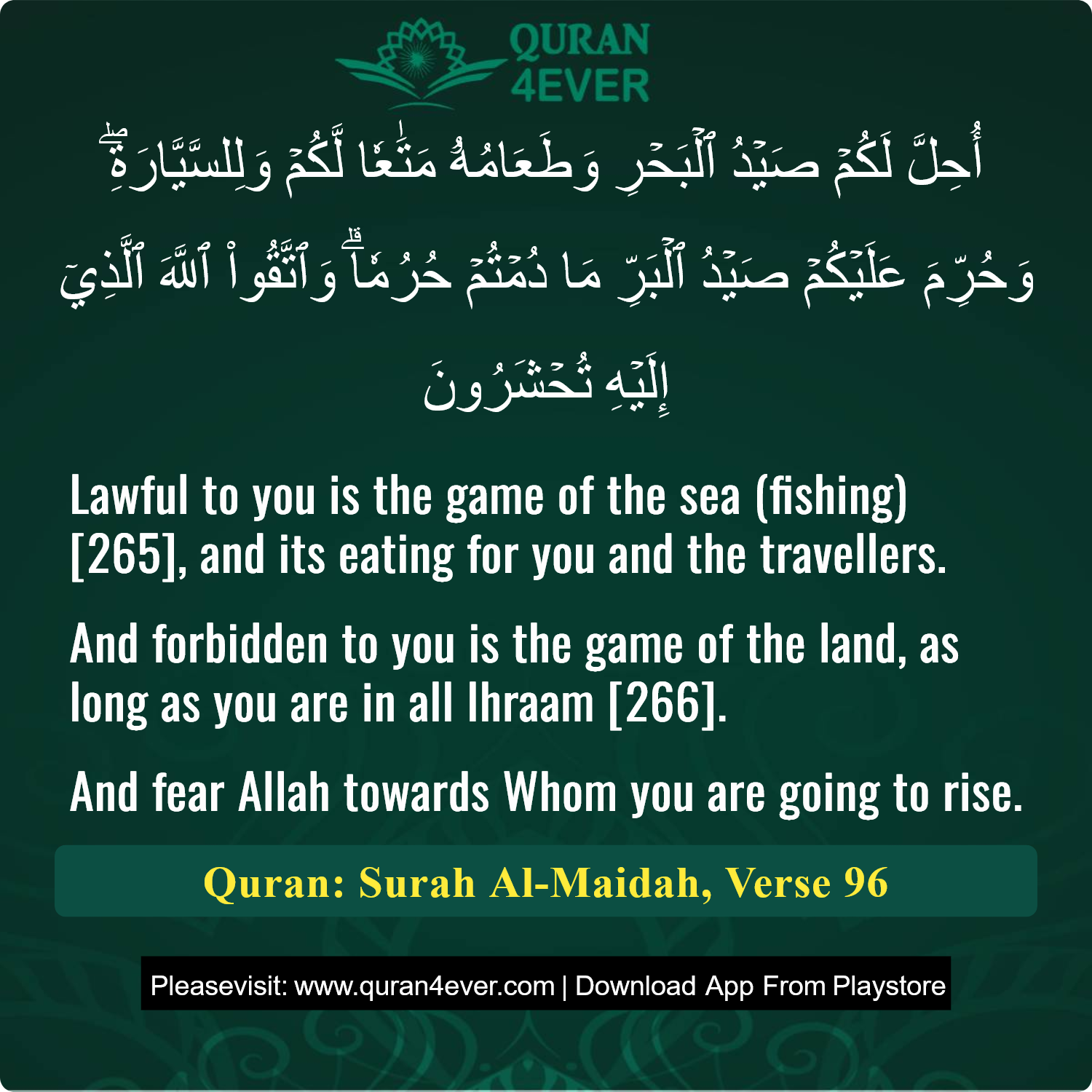 Surah 5, Ayah 96 - Quran Image