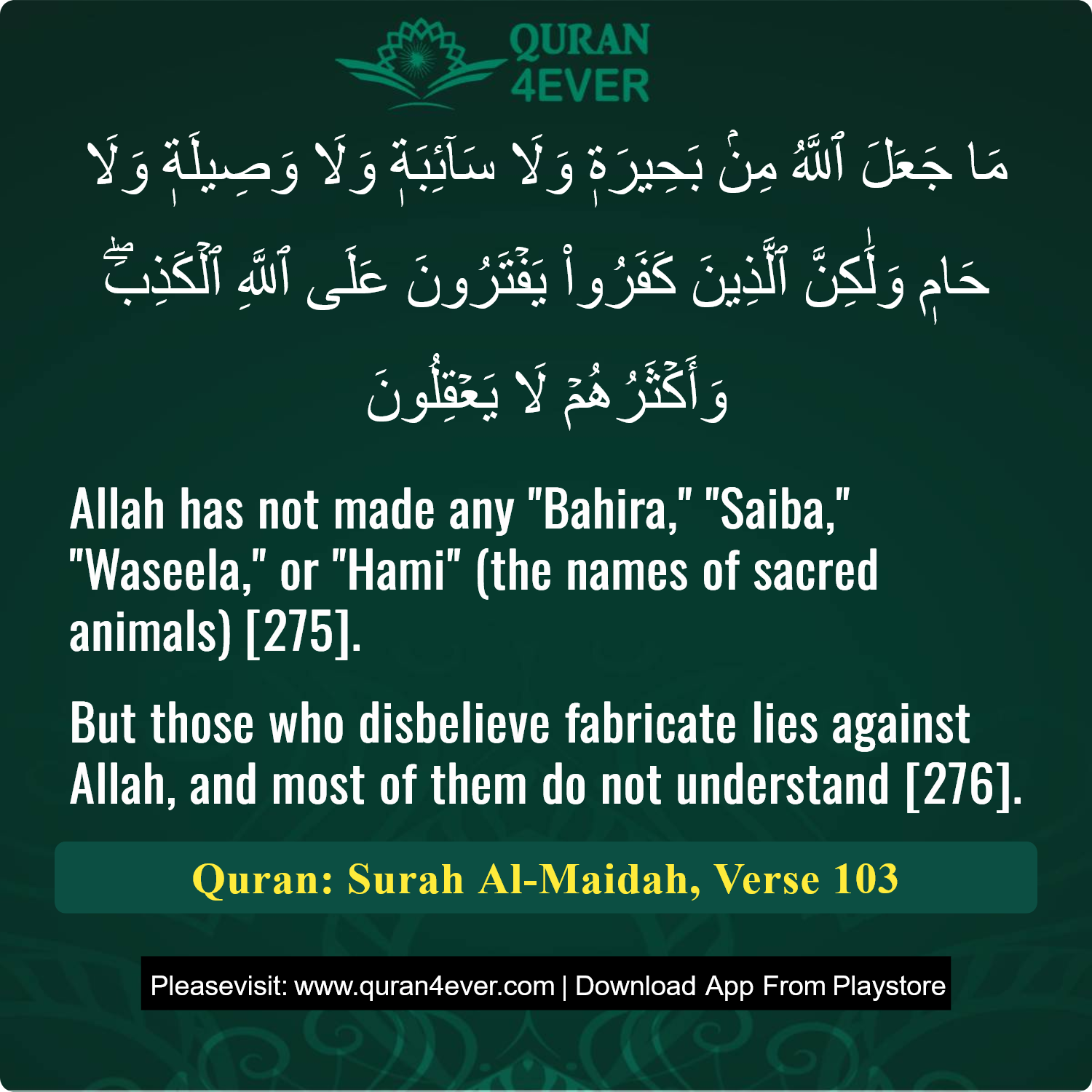 Surah 5, Ayah 103 - Quran Image