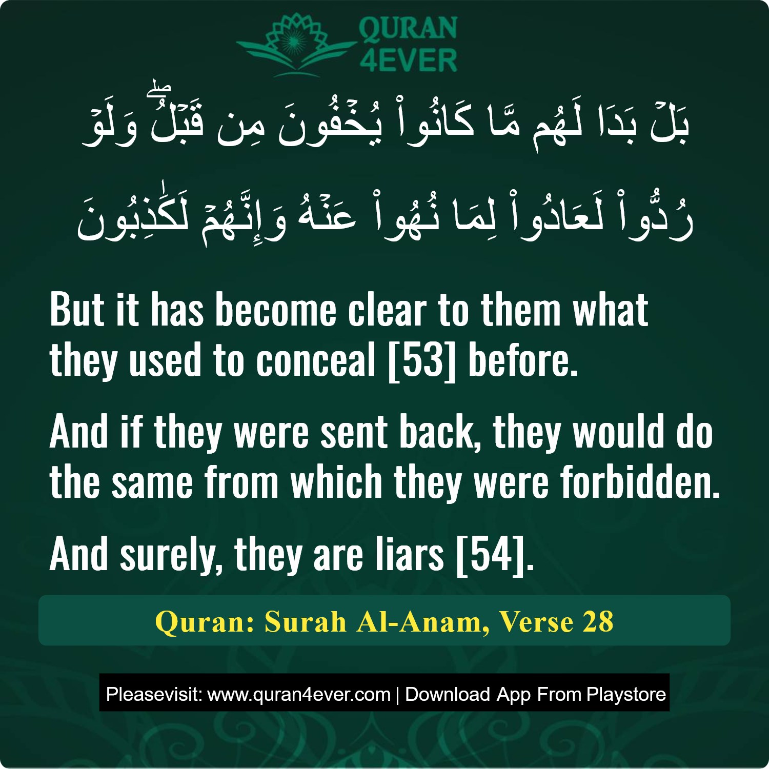Surah 6, Ayah 28 - Quran Image