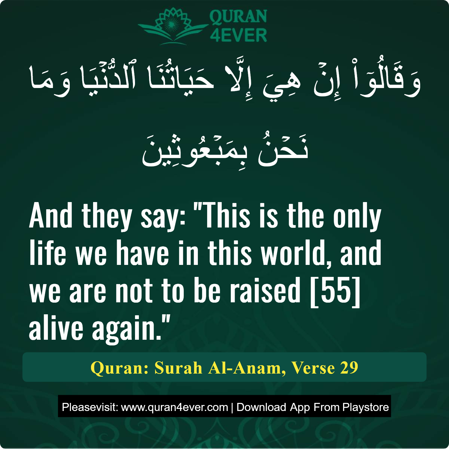 Surah 6, Ayah 29 - Quran Image