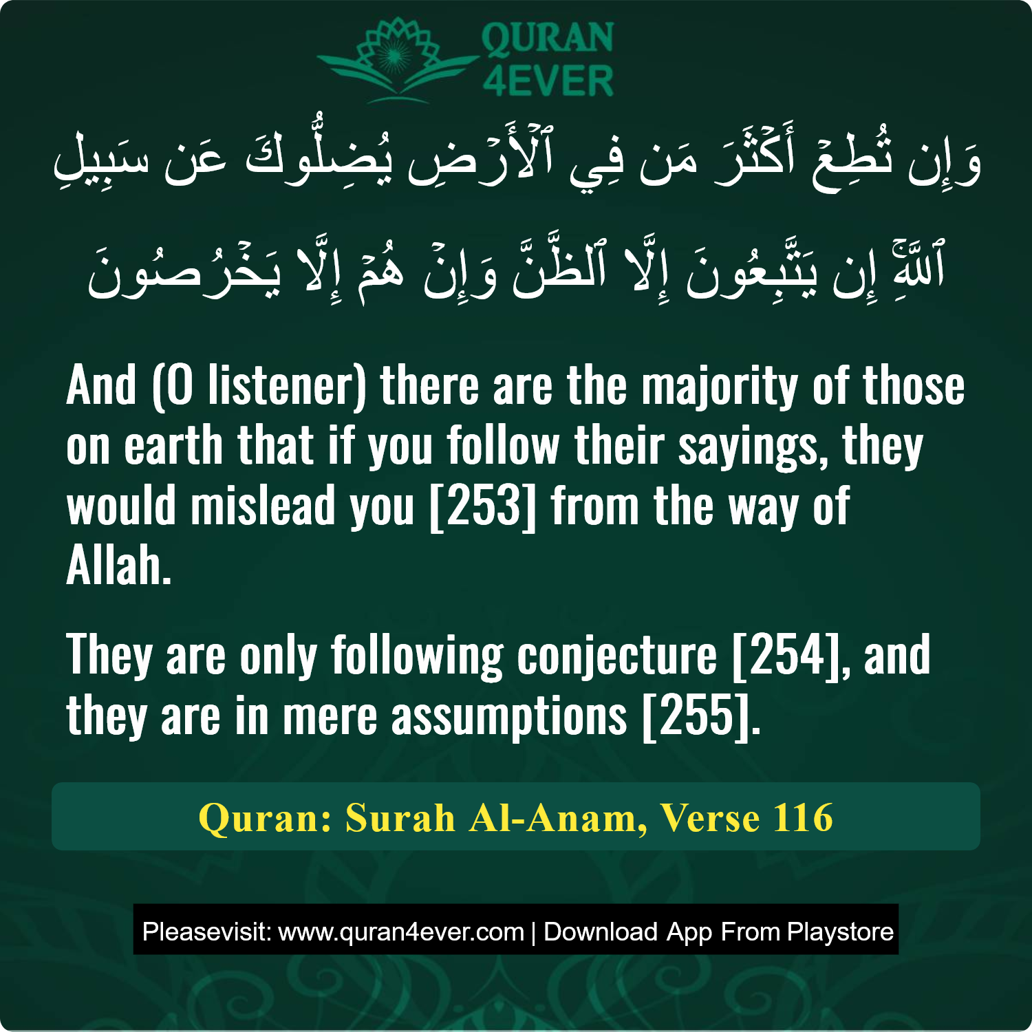 Surah 6, Ayah 116 - Quran Image