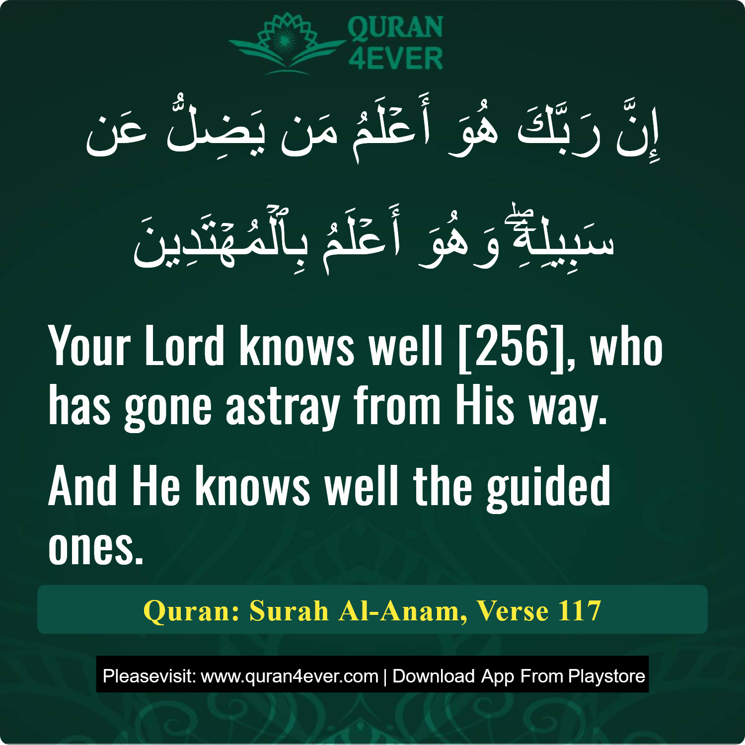 Surah 6, Ayah 117 - Quran Image