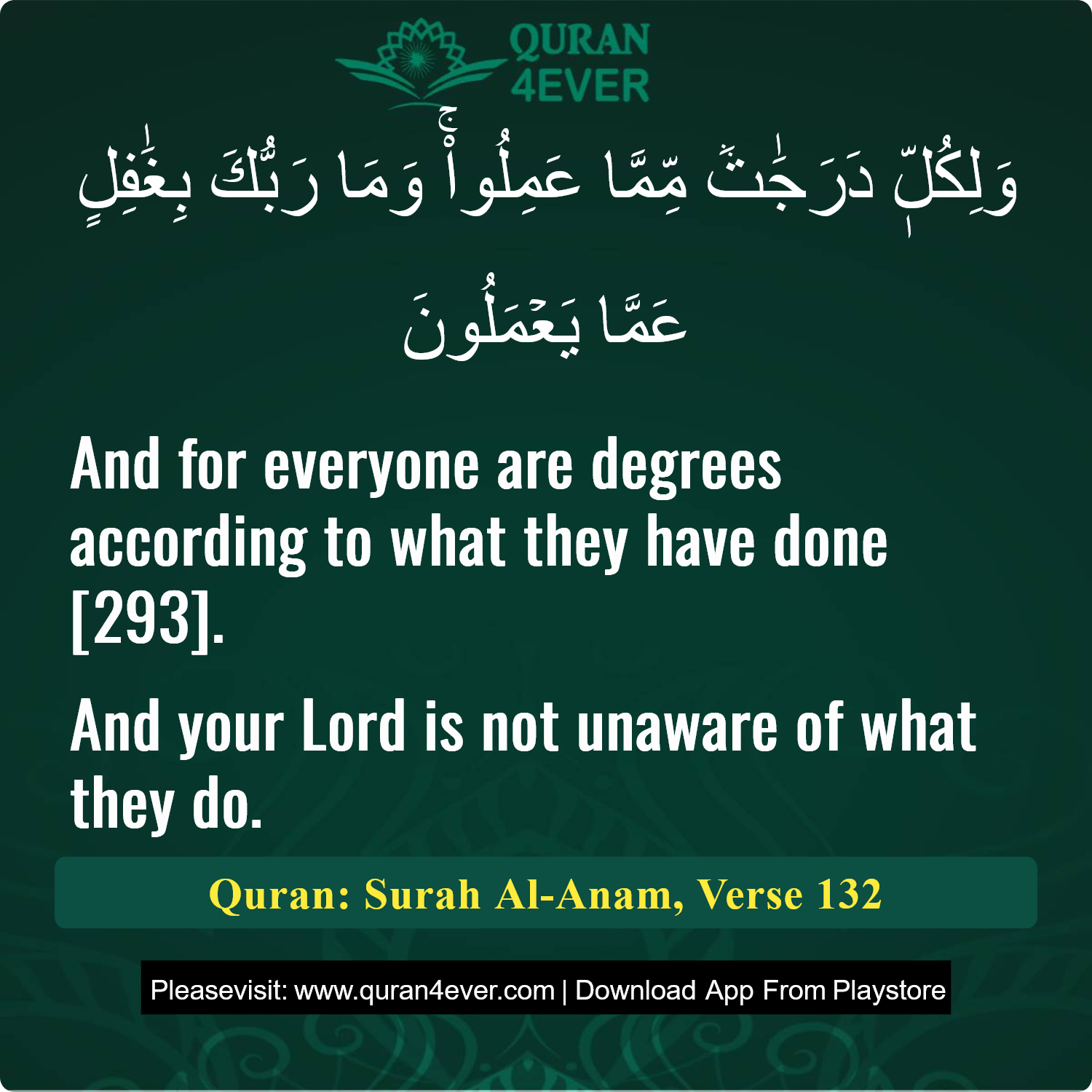 Surah 6, Ayah 132 - Quran Image