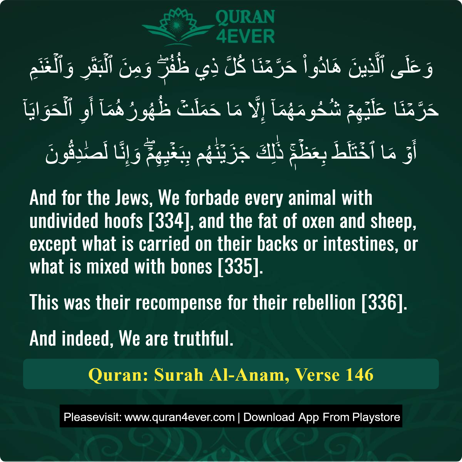 Surah 6, Ayah 146 - Quran Image