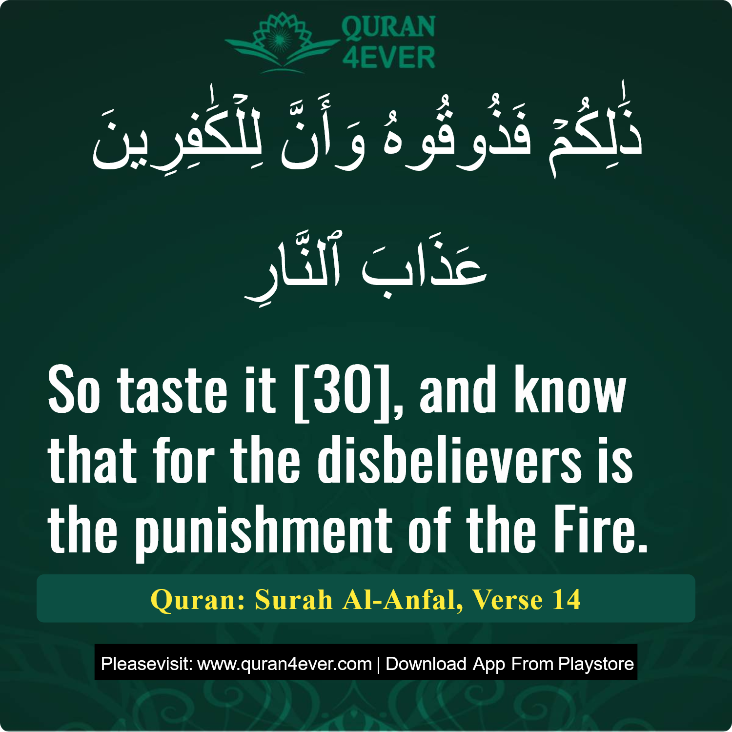 Surah 8, Ayah 14 - Quran Image