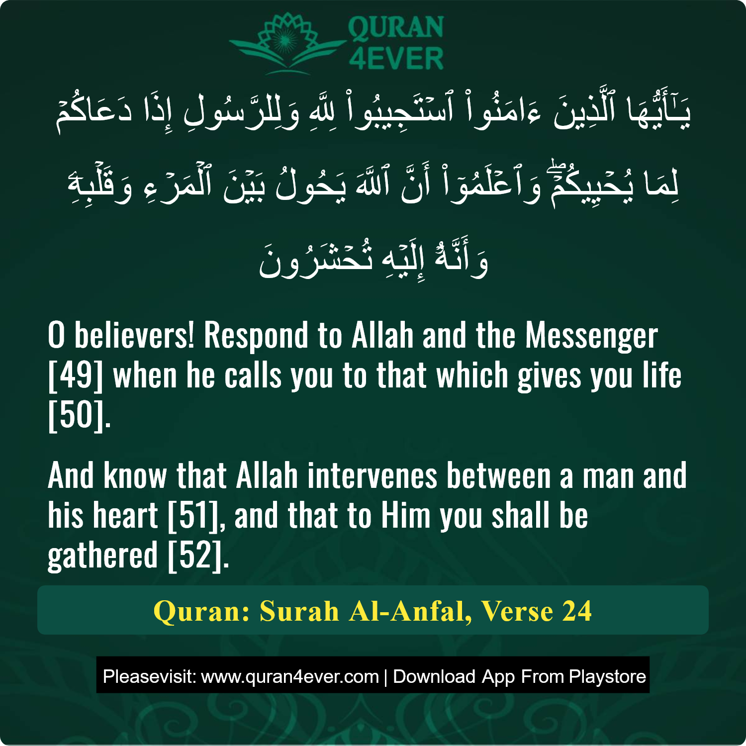 Surah 8, Ayah 24 - Quran Image