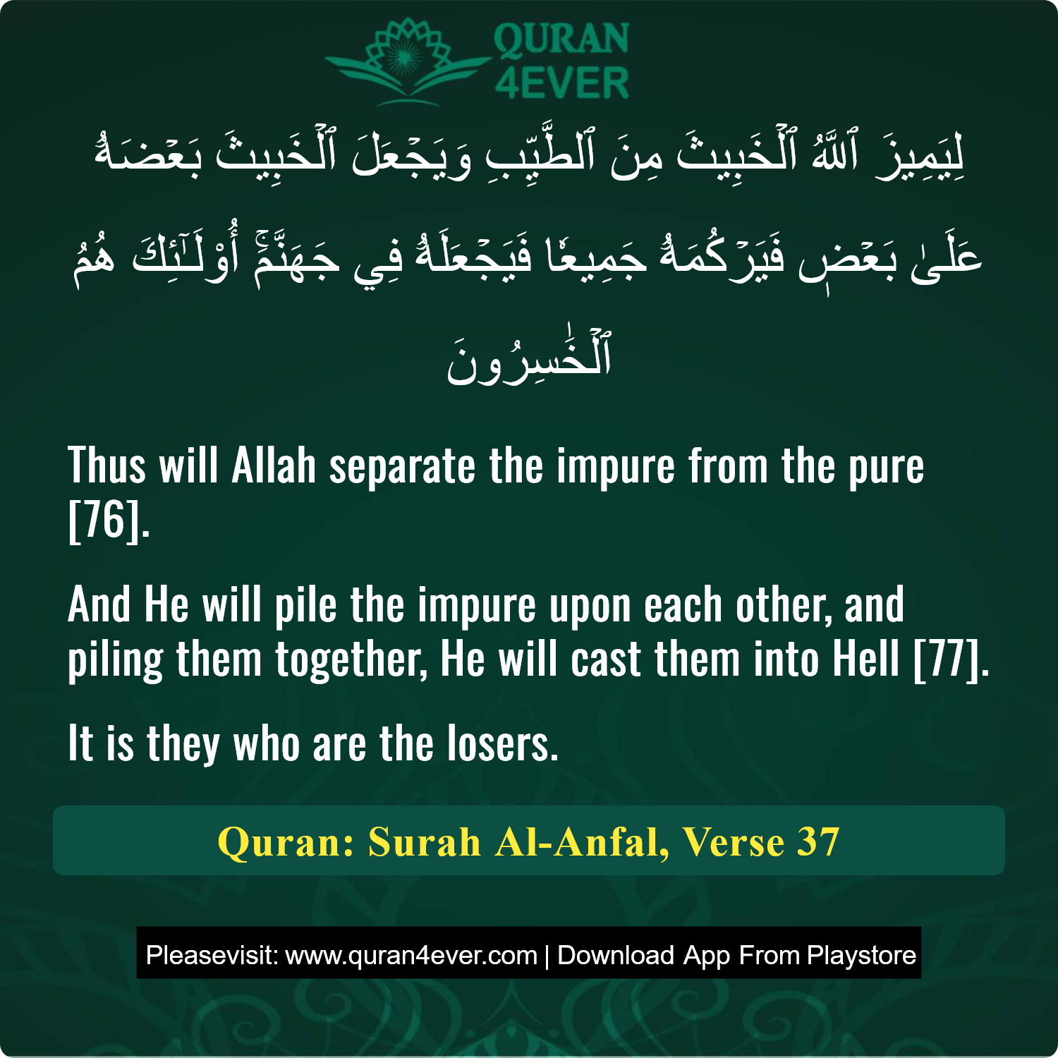 Surah 8, Ayah 37 - Quran Image