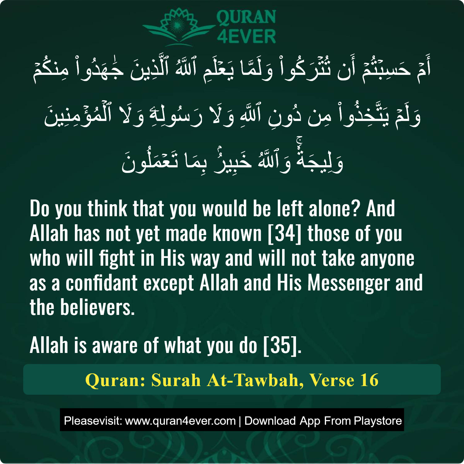 Surah 9, Ayah 16 - Quran Image