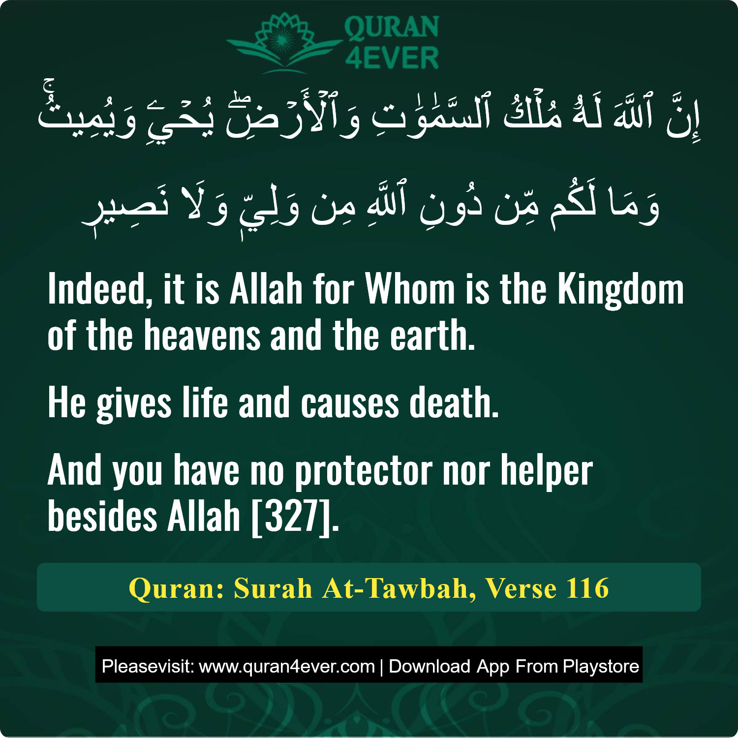 Surah 9, Ayah 116 - Quran Image