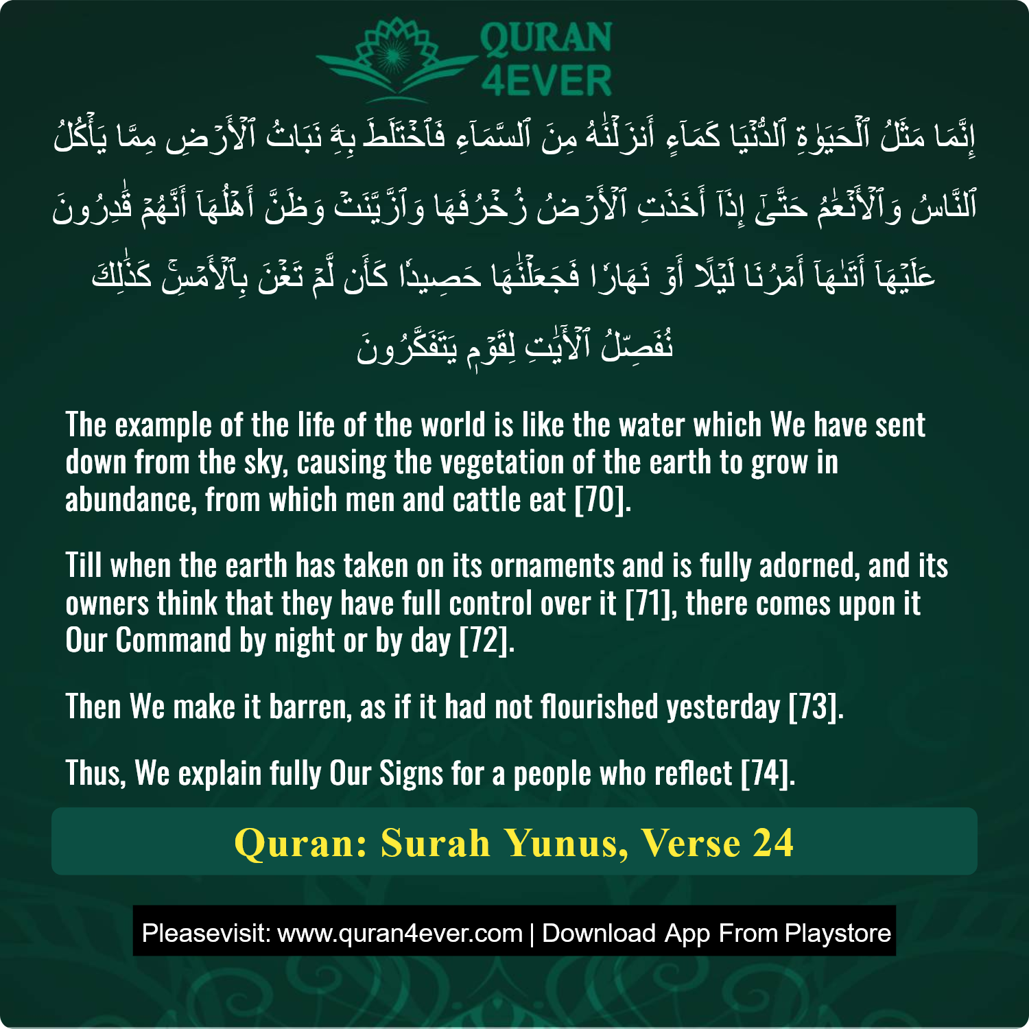 Surah 10, Ayah 24 - Quran Image