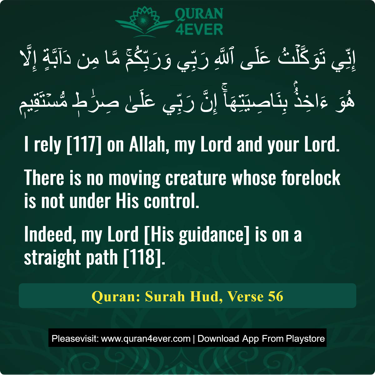Surah 11, Ayah 56 - Quran Image
