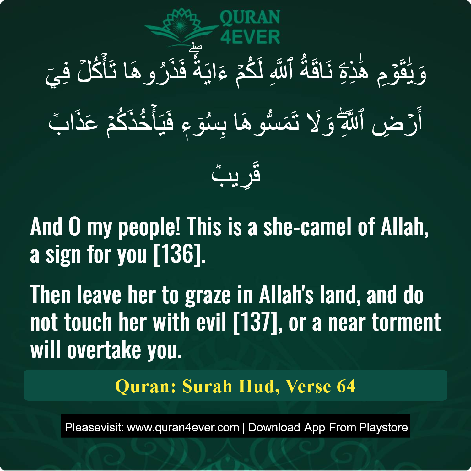 Surah 11, Ayah 64 - Quran Image