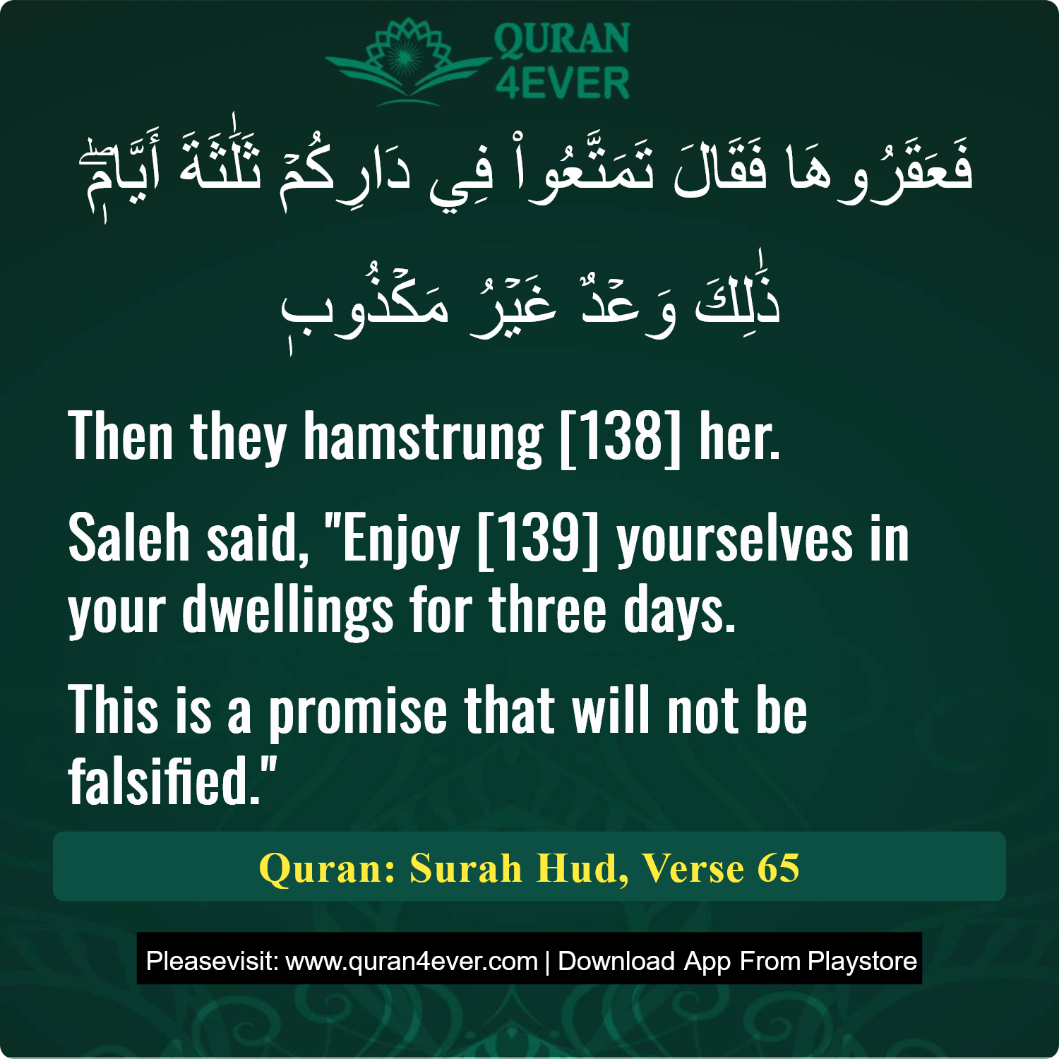 Surah 11, Ayah 65 - Quran Image