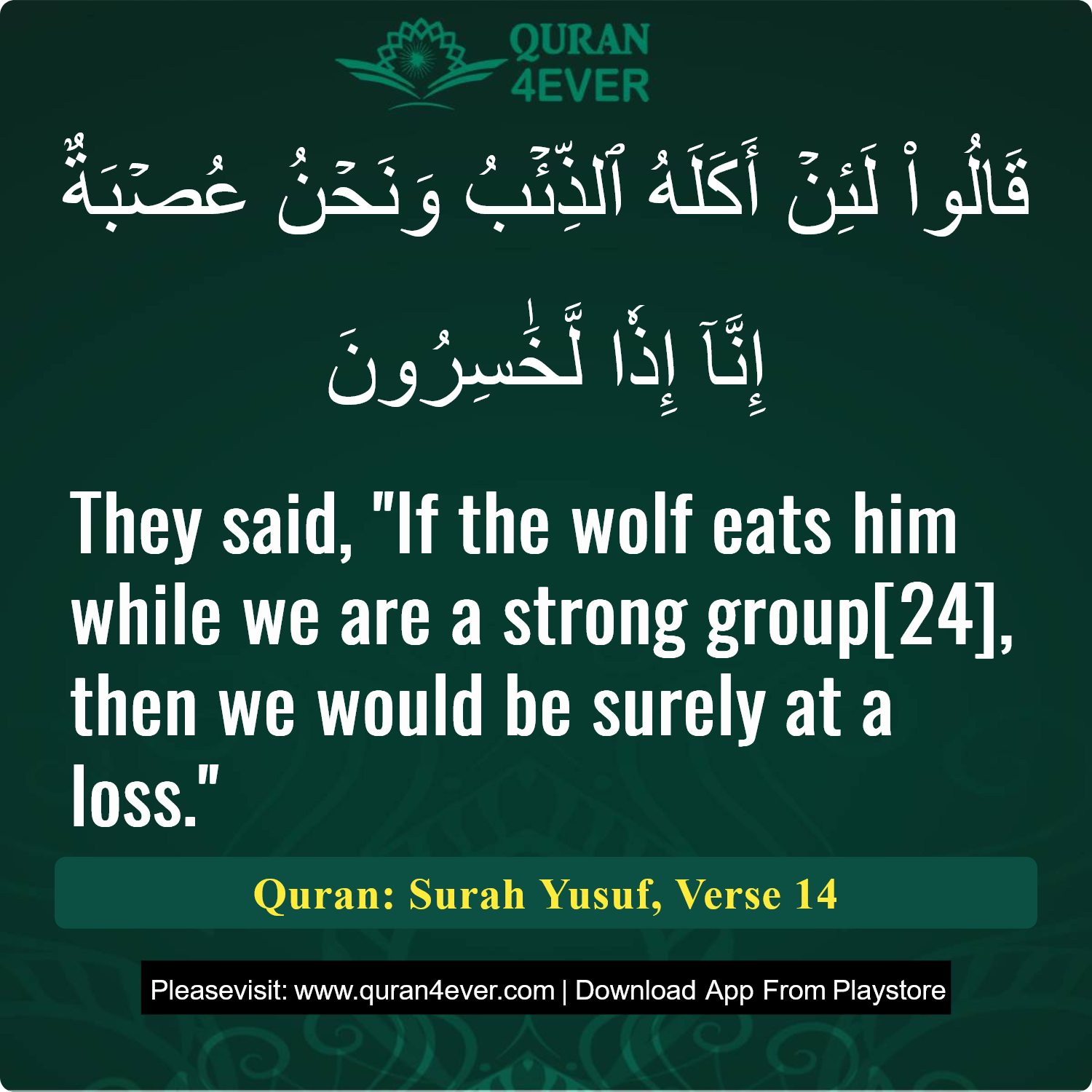 Surah 12, Ayah 14 - Quran Image