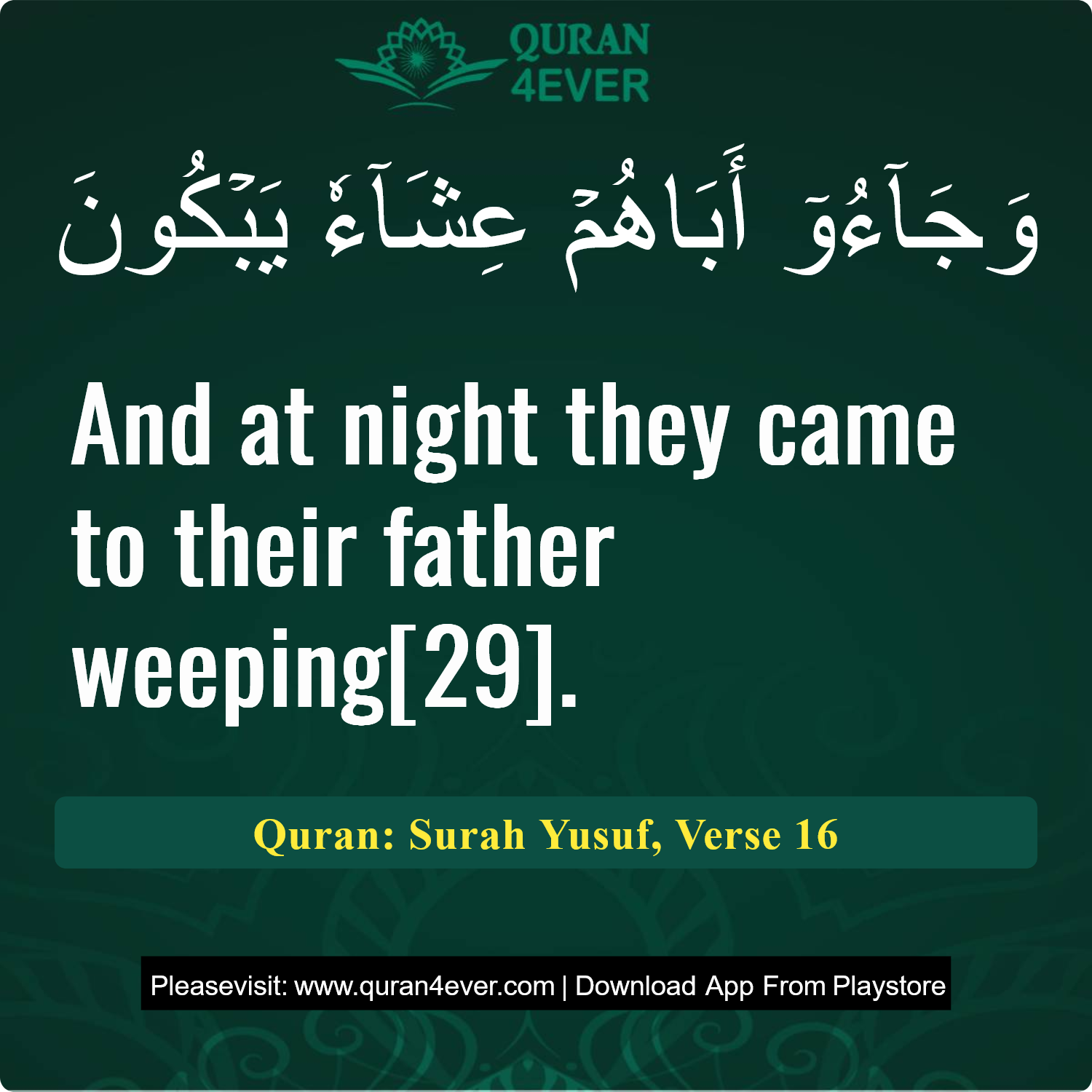 Surah 12, Ayah 16 - Quran Image