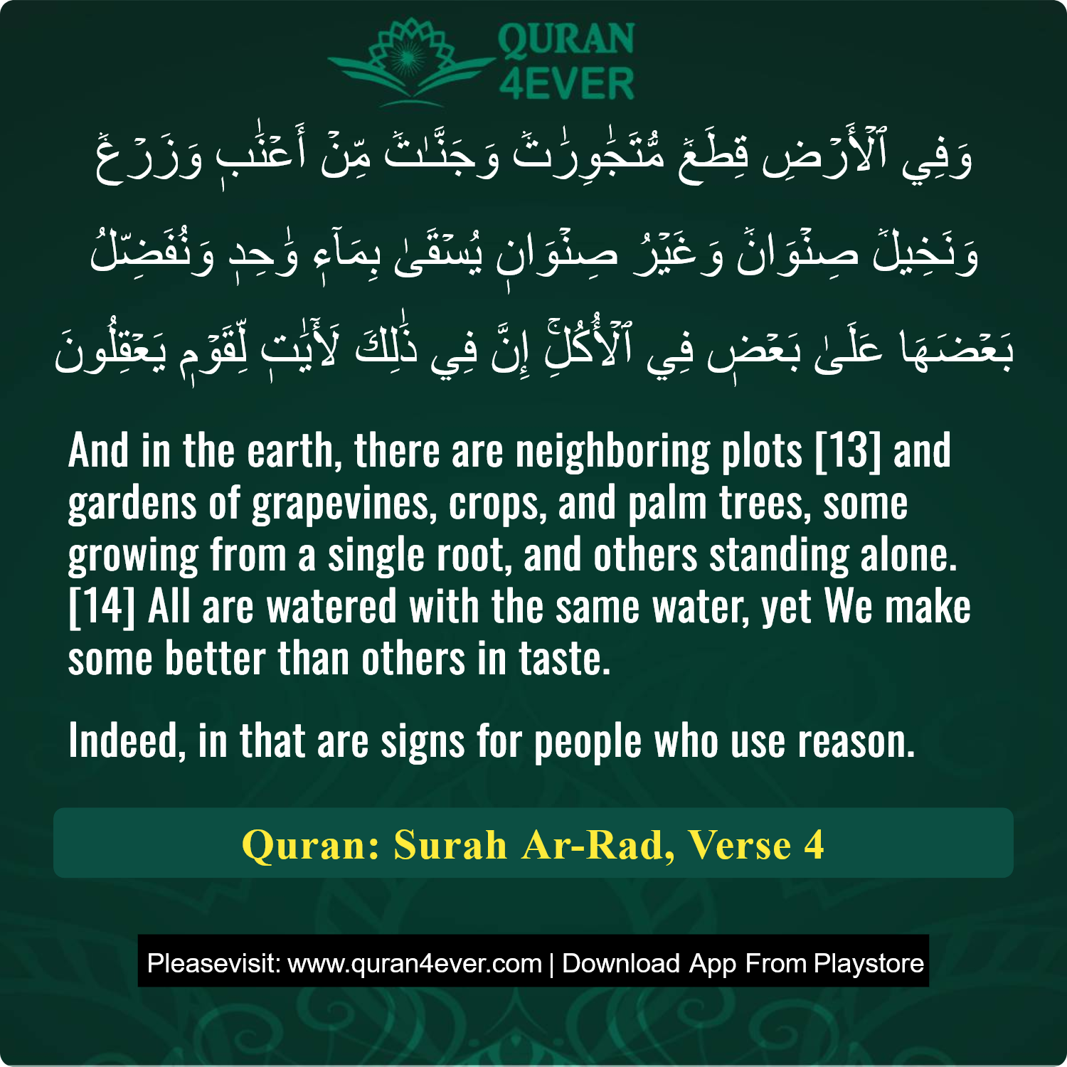 Surah 13, Ayah 4 - Quran Image