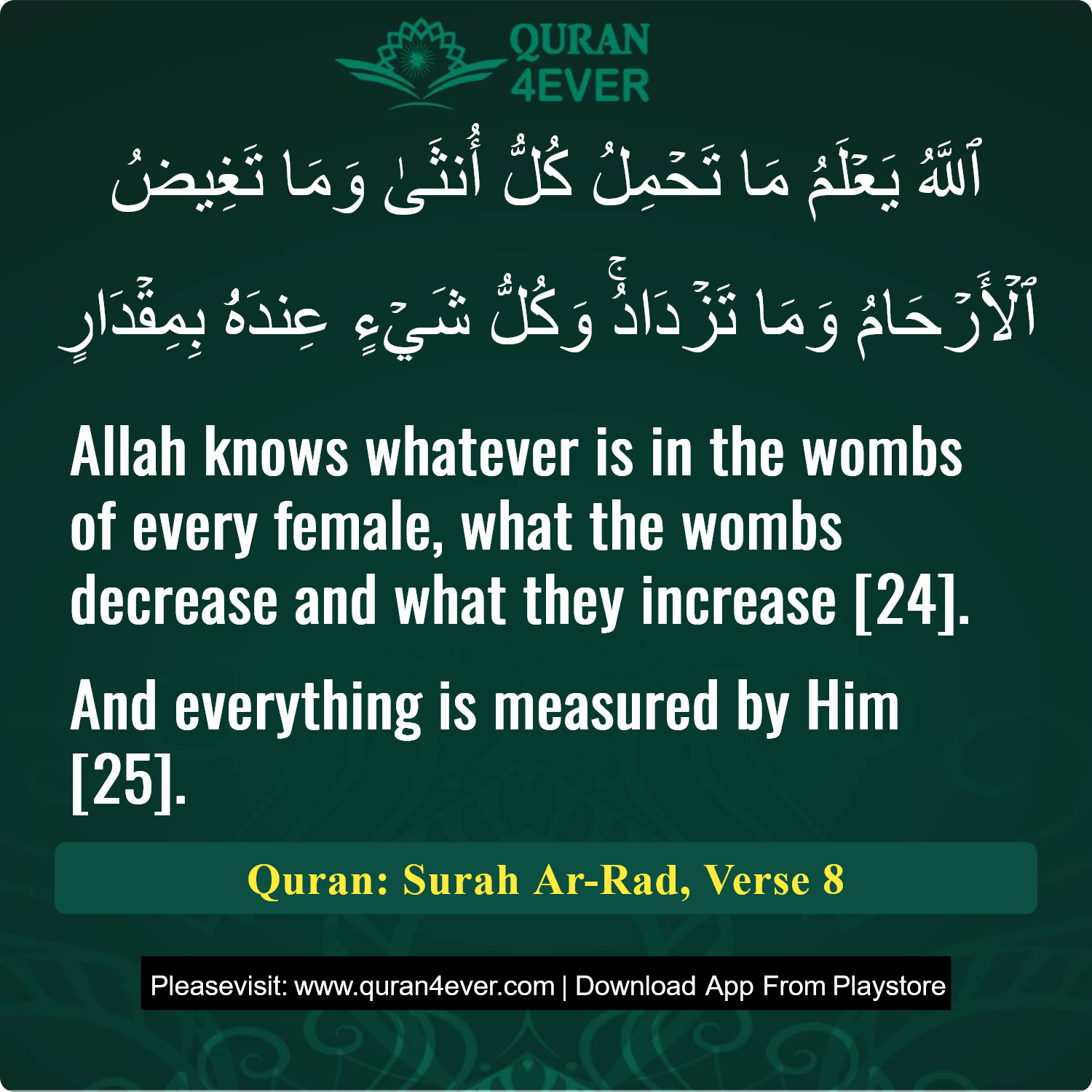 Surah 13, Ayah 8 - Quran Image