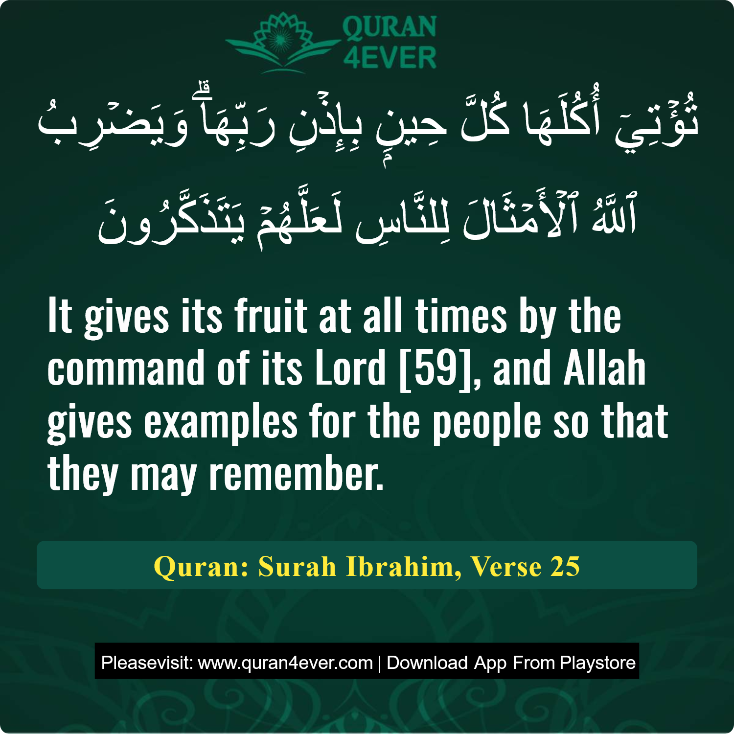 Surah 14, Ayah 25 - Quran Image