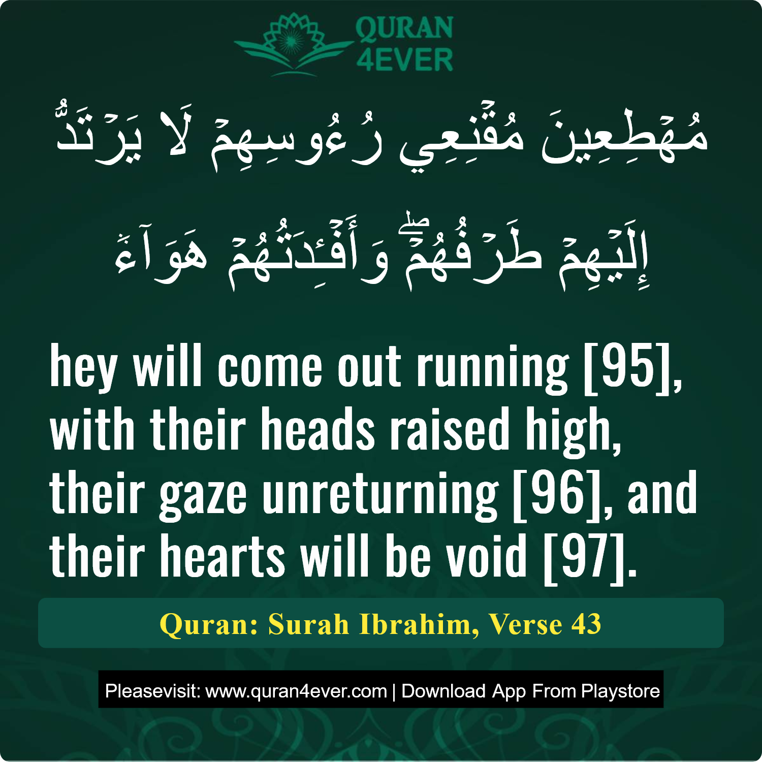 Surah 14, Ayah 43 - Quran Image