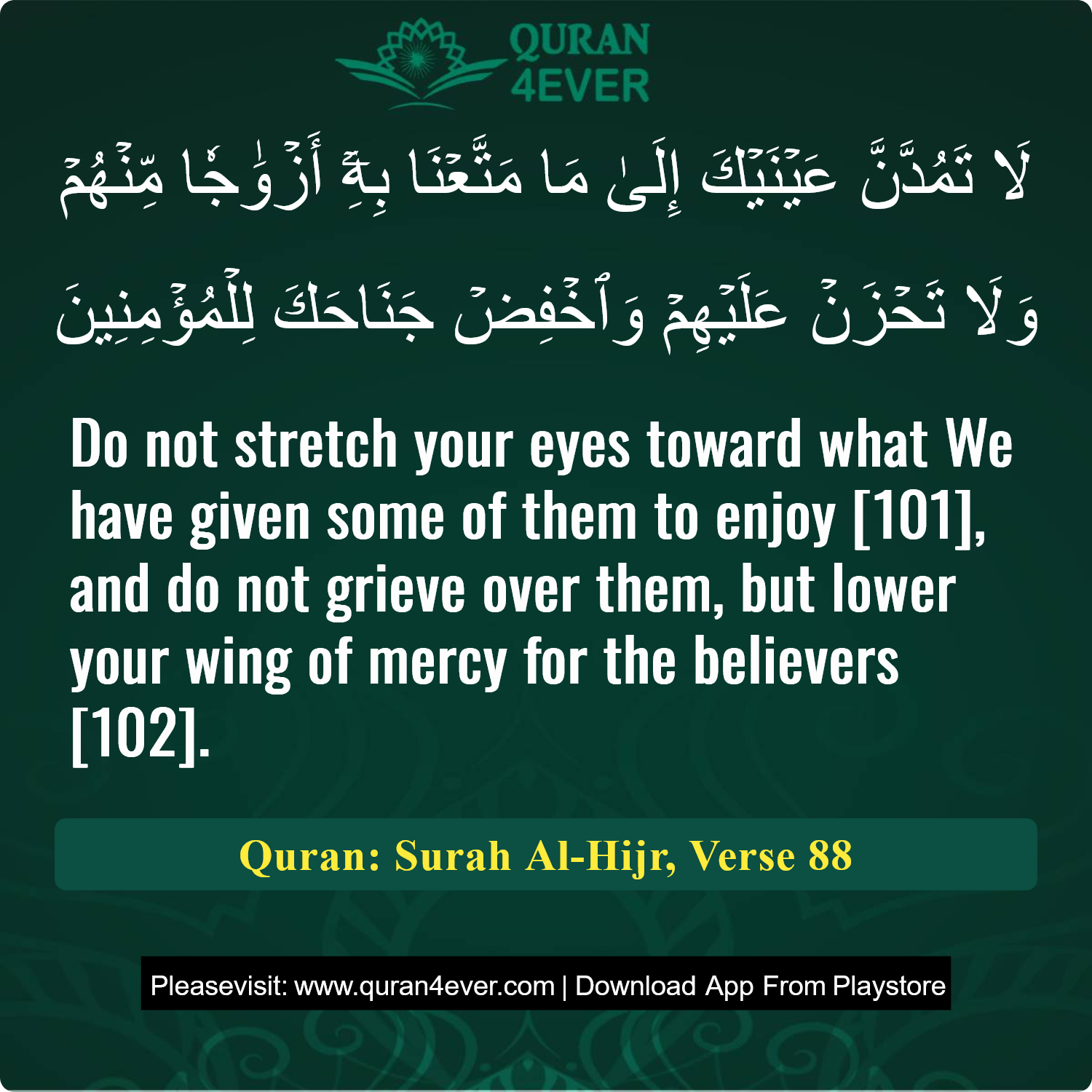 Surah 15, Ayah 88 - Quran Image