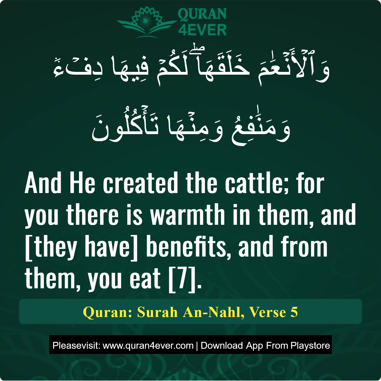 Surah 16, Ayah 5 - Quran Image