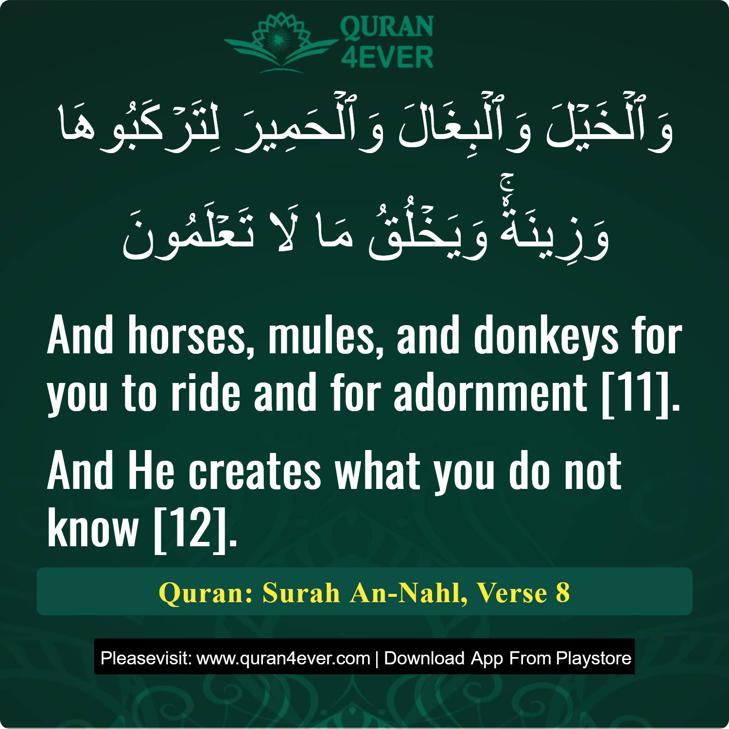Surah 16, Ayah 8 - Quran Image
