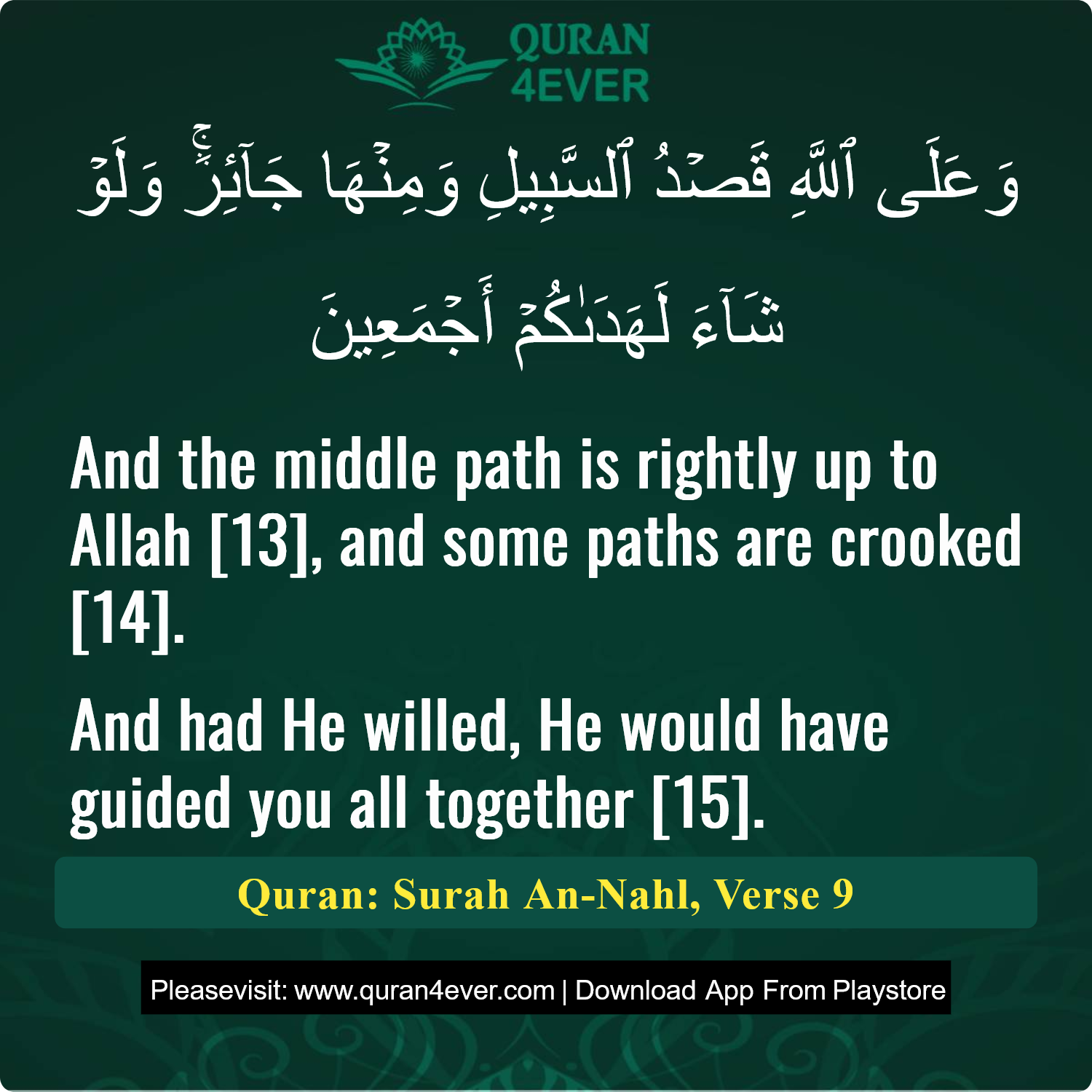 Surah 16, Ayah 9 - Quran Image