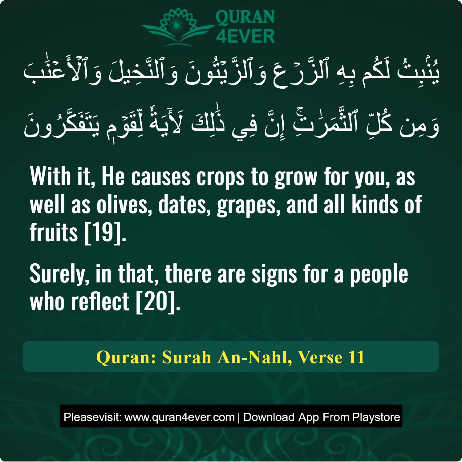 Surah 16, Ayah 11 - Quran Image