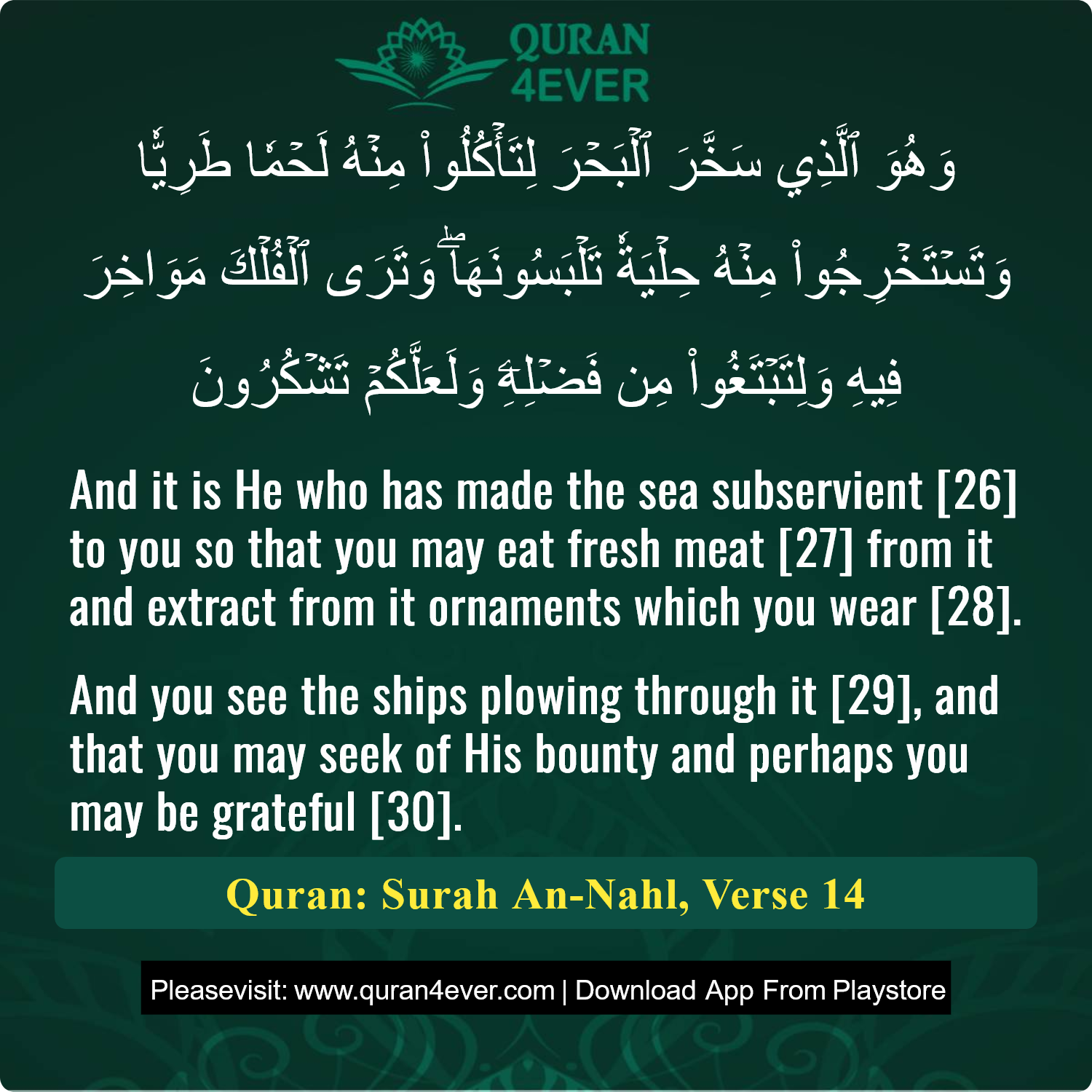 Surah 16, Ayah 14 - Quran Image