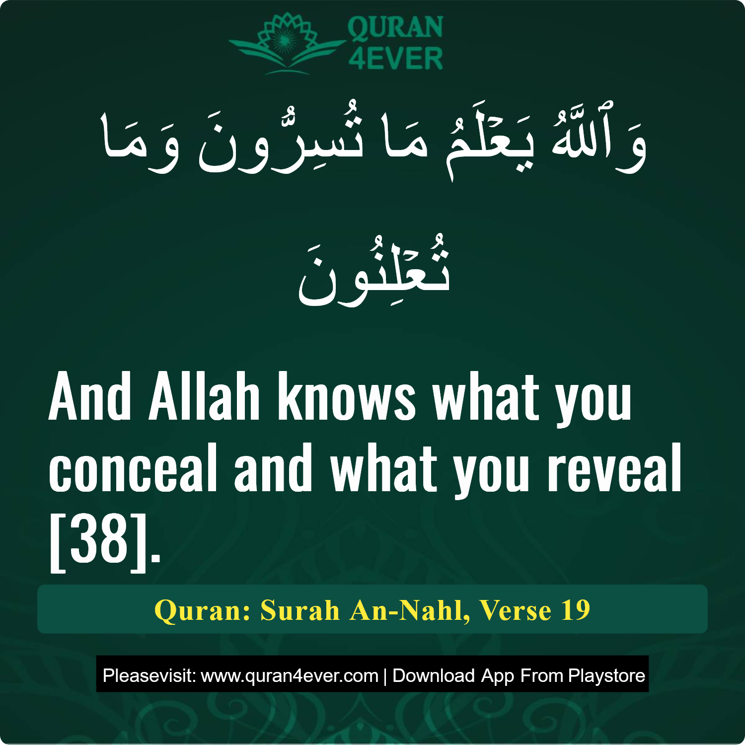 Surah 16, Ayah 19 - Quran Image