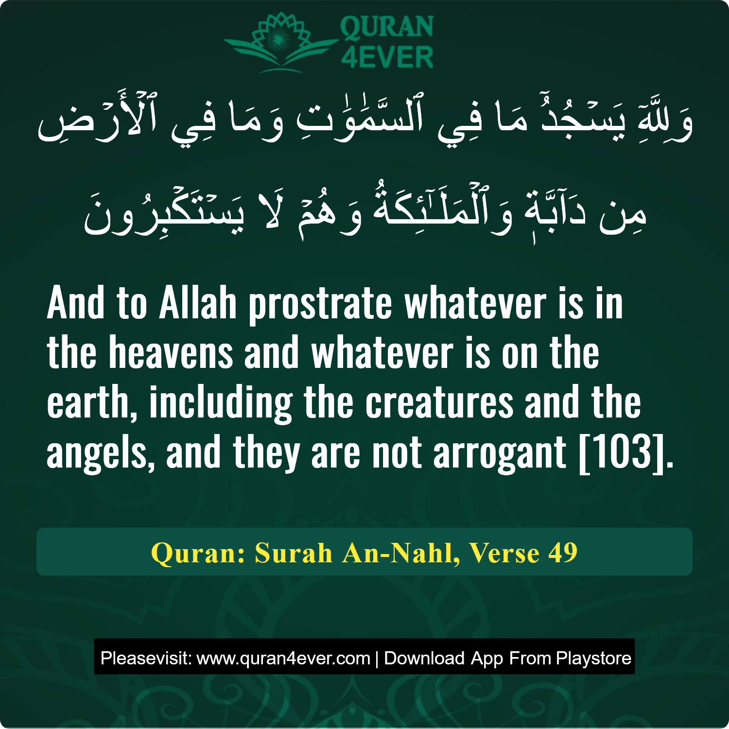 Surah 16, Ayah 49 - Quran Image
