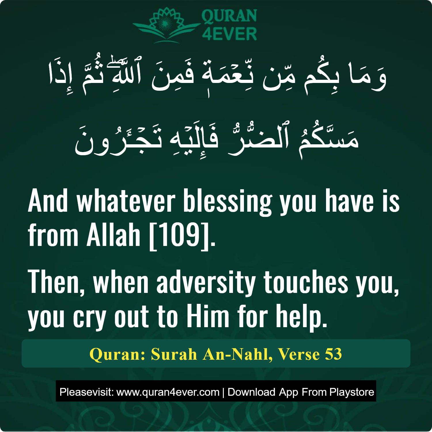 Surah 16, Ayah 53 - Quran Image