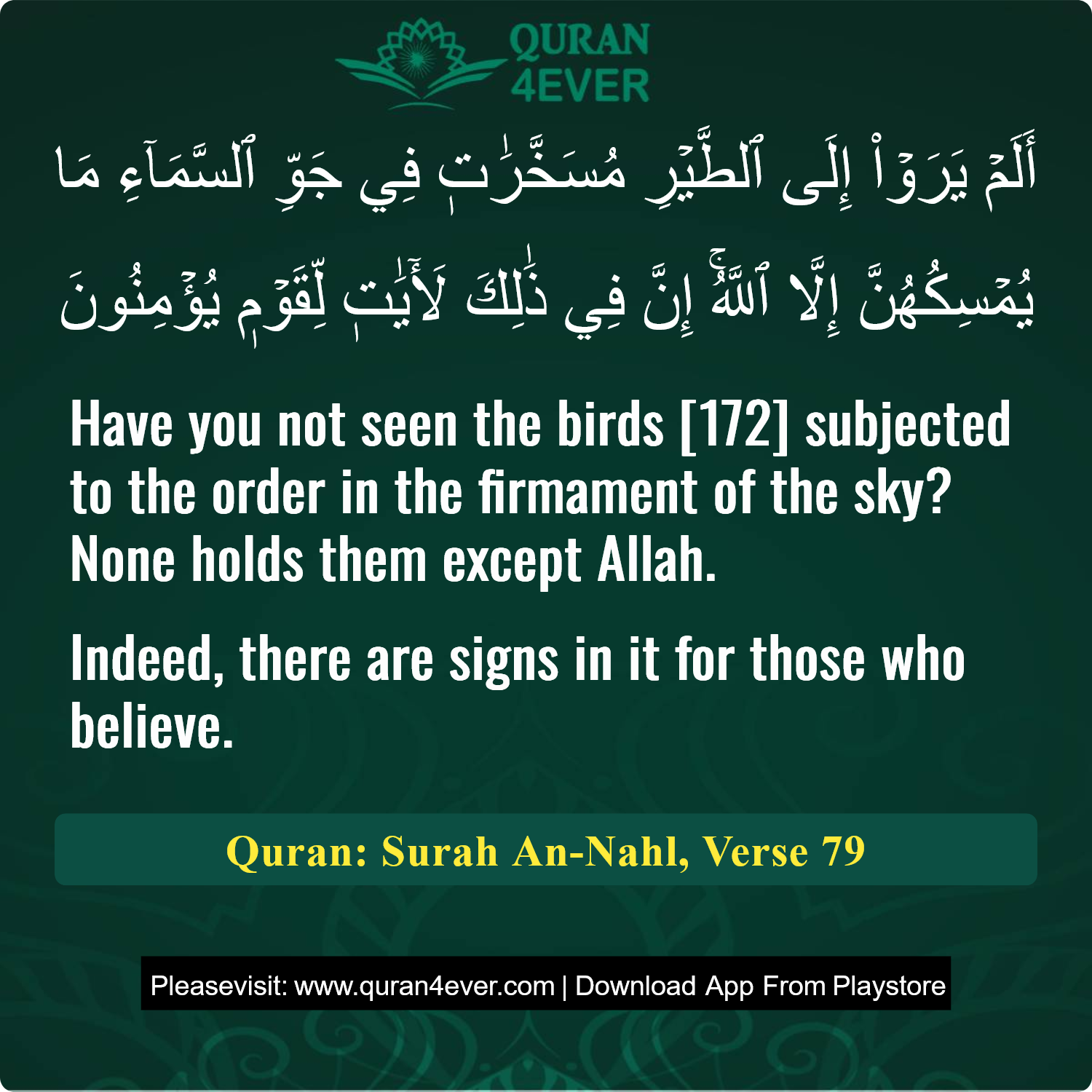 Surah 16, Ayah 79 - Quran Image