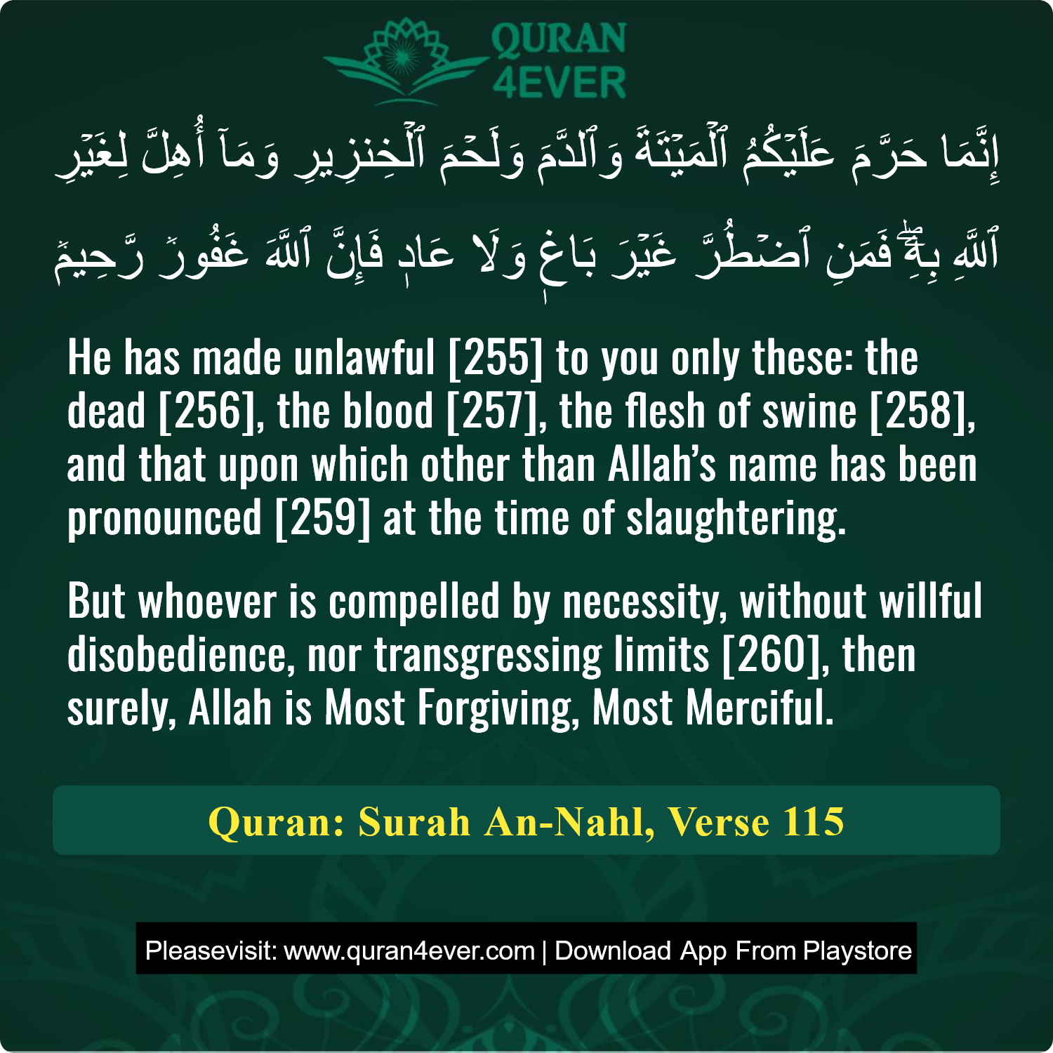 Surah 16, Ayah 115 - Quran Image