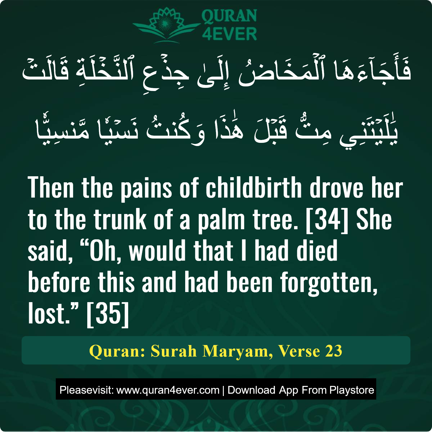 Surah 19, Ayah 23 - Quran Image