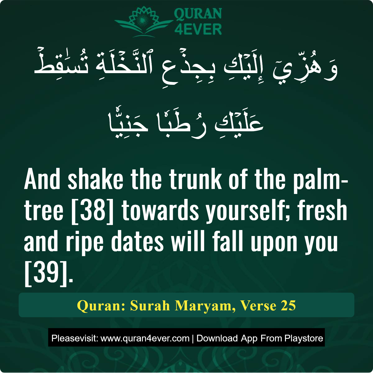 Surah 19, Ayah 25 - Quran Image